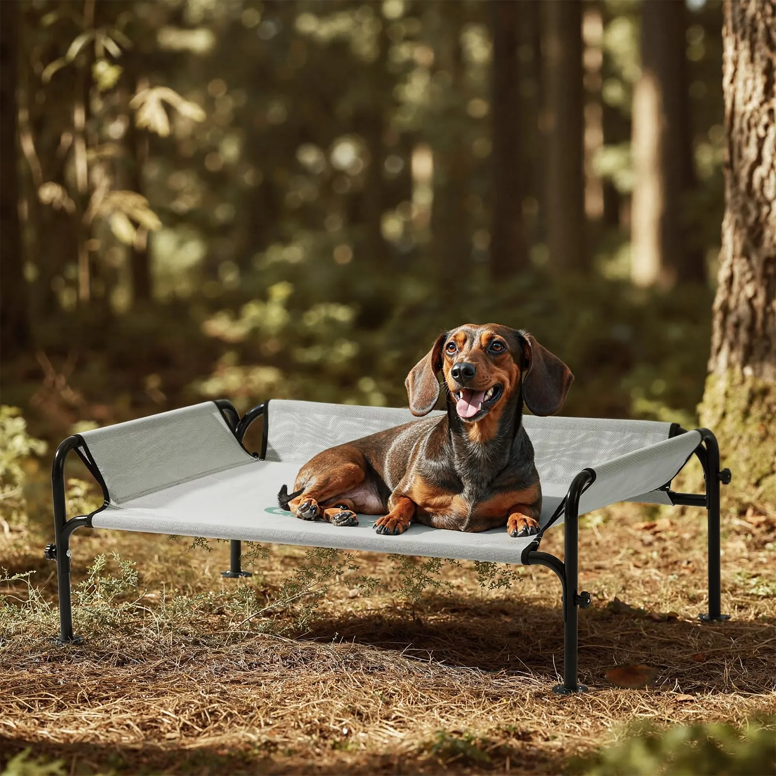 Gardner Pet Letto Rialzato per Cani, 88 x 55 x 31 cm, Grigio - immagine 1