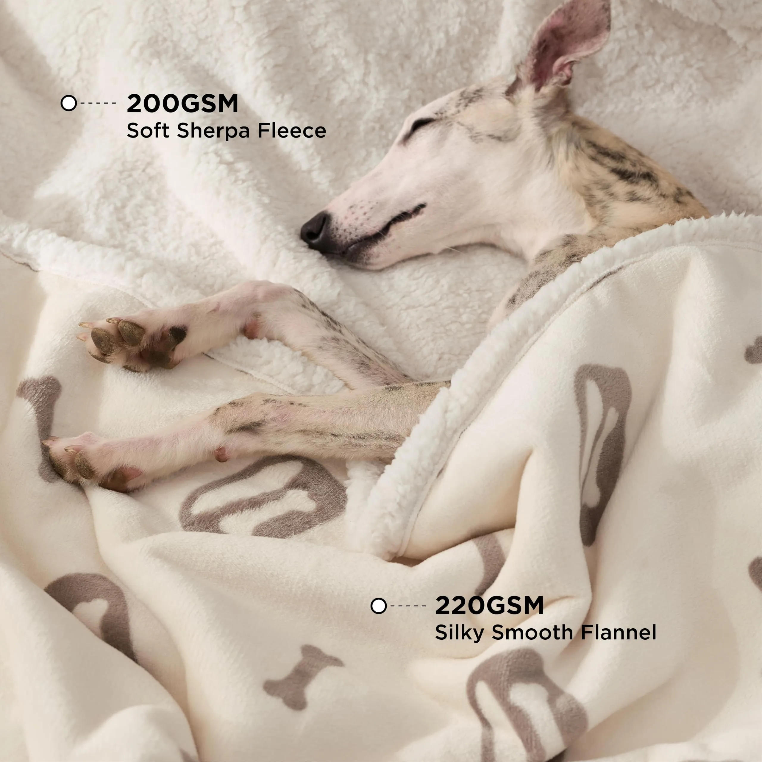 Bedsure Coperta Cane, Coperta per Cani Impermeabile, Coperta Divano, Gatto, Copertina Cane, Pile Singolo (102x127cm, Bianco Panna) - immagine 2