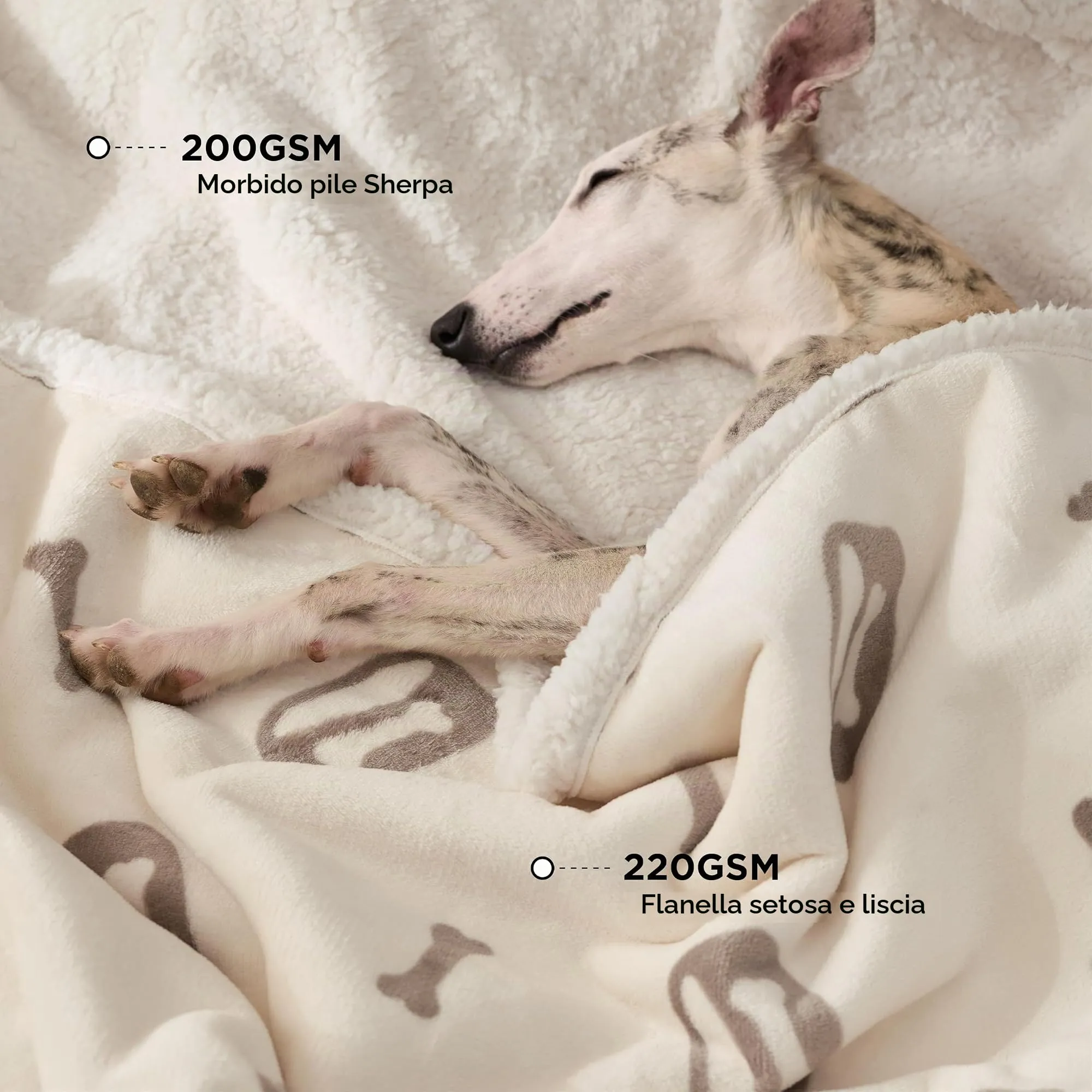 Bedsure Coperta Cane, Coperta per Cani Impermeabile, Coperta Divano, Gatto, Copertina Cane, Pile Singolo (76x102cm, Bianco Panna) - immagine 2