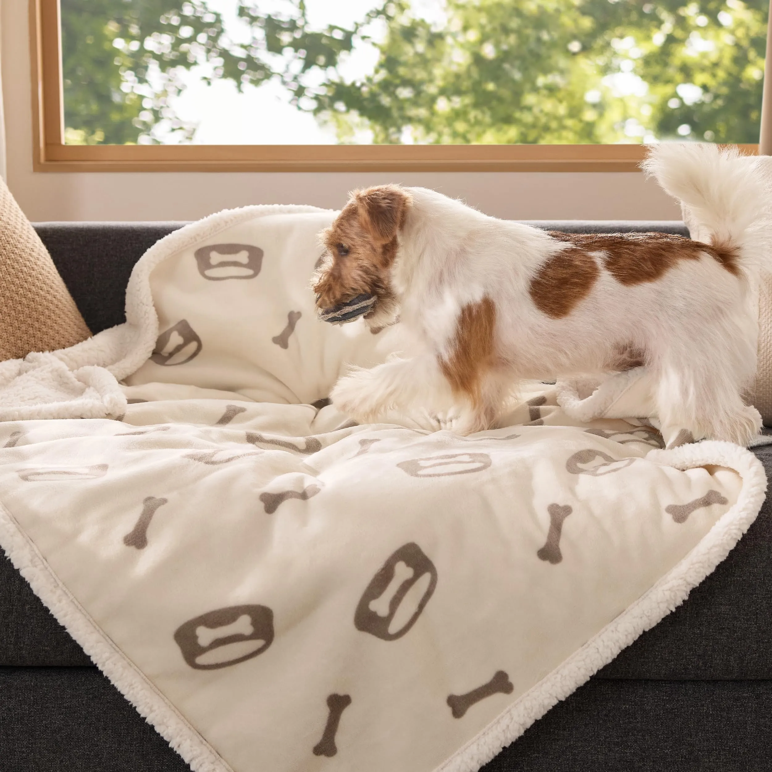 Bedsure Coperta Cane, Coperta per Cani Impermeabile, Coperta Divano, Gatto, Copertina Cane, Pile Singolo (76x102cm, Bianco Panna) - immagine 7