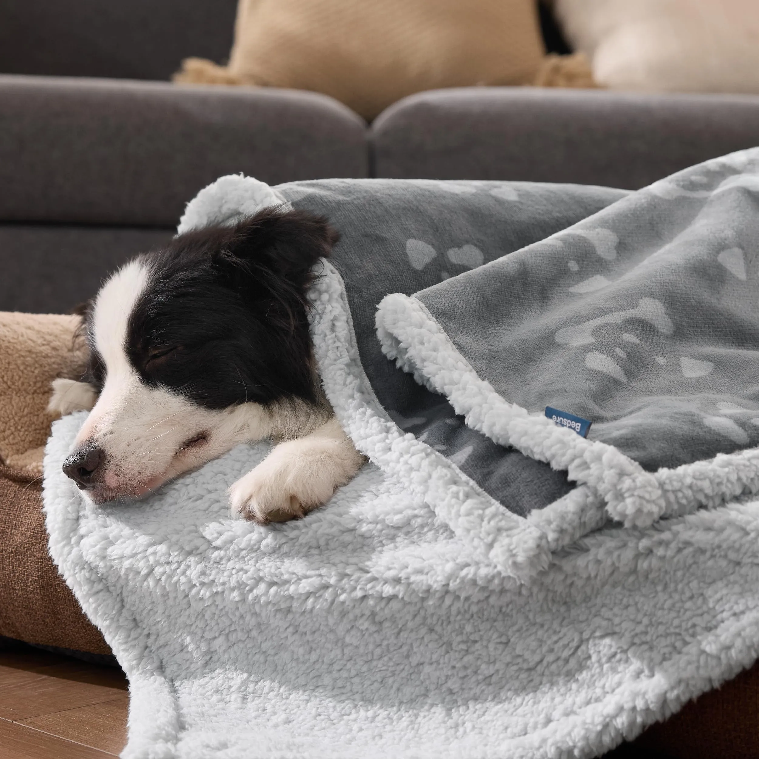 Bedsure Coperta Cane, Coperta per Cani Impermeabile, Coperta Divano, Gatto, Copertina Cane, Pile Singolo (152x203cm, Grigio) - immagine 7