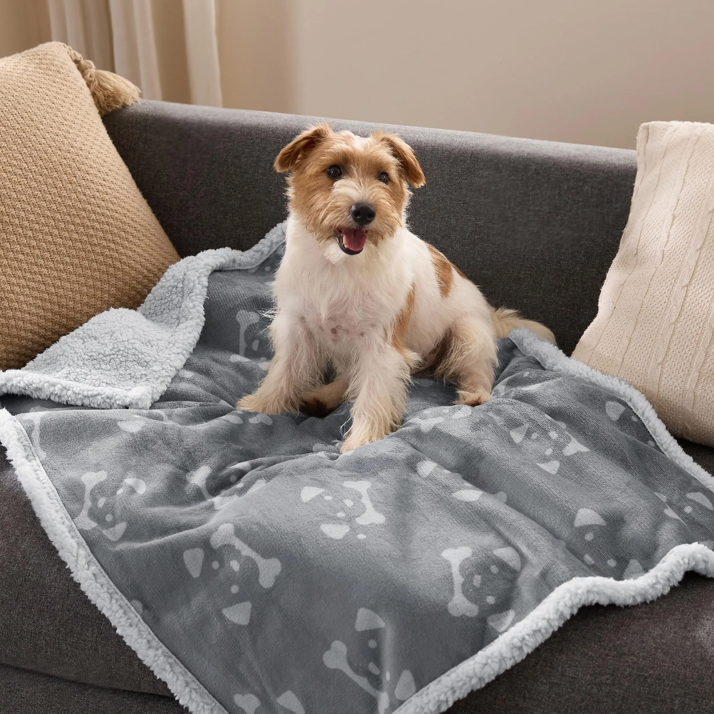 Bedsure Coperta Cane, Coperta per Cani Impermeabile, Coperta Divano, Gatto, Copertina Cane, Pile Singolo (76x102cm, Grigio) - immagine 7