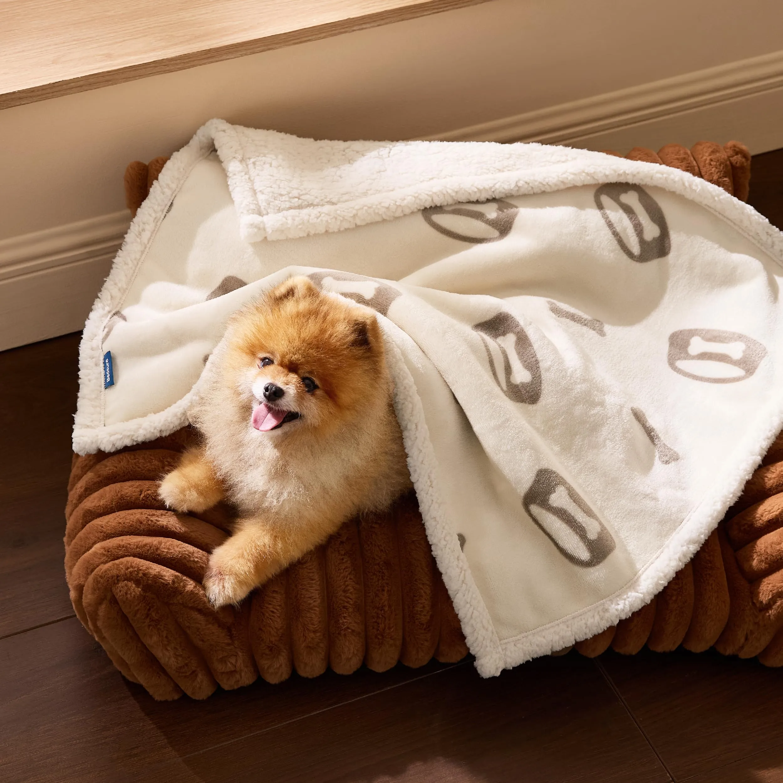 Bedsure Coperta Cane, Coperta per Cani Impermeabile, Coperta Divano, Gatto, Copertina Cane, Pile Singolo (63x73cm, Bianco Panna) - immagine 7