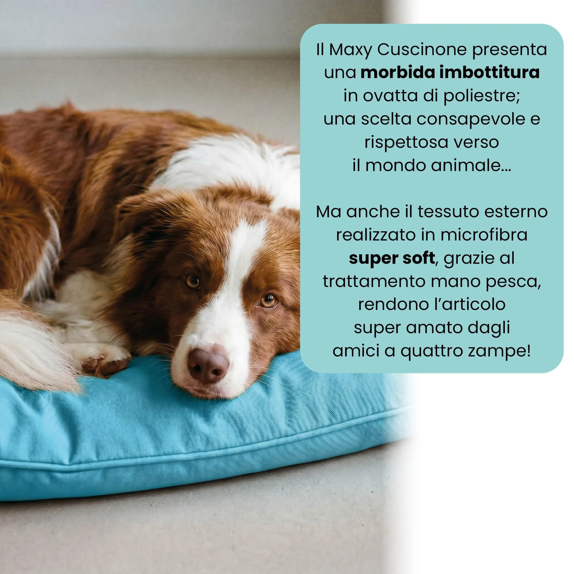 Maxy cuscinone "ELEGANT", cuscino per cani e gatti imbottito e trapuntato, 60 x 100 cm, Azzurro - immagine 3