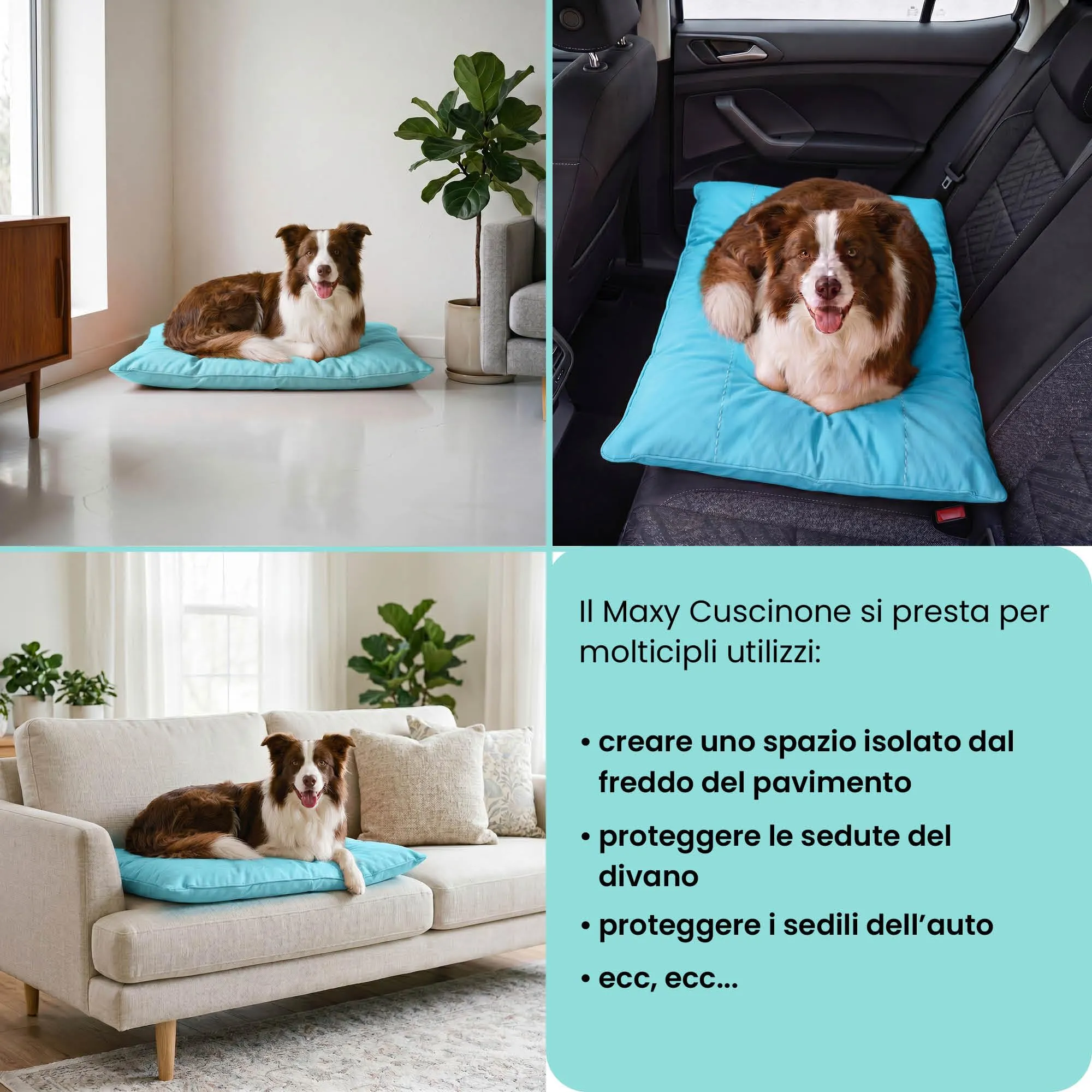 Maxy cuscinone "ELEGANT", cuscino per cani e gatti imbottito e trapuntato, 60 x 100 cm, Azzurro - immagine 5