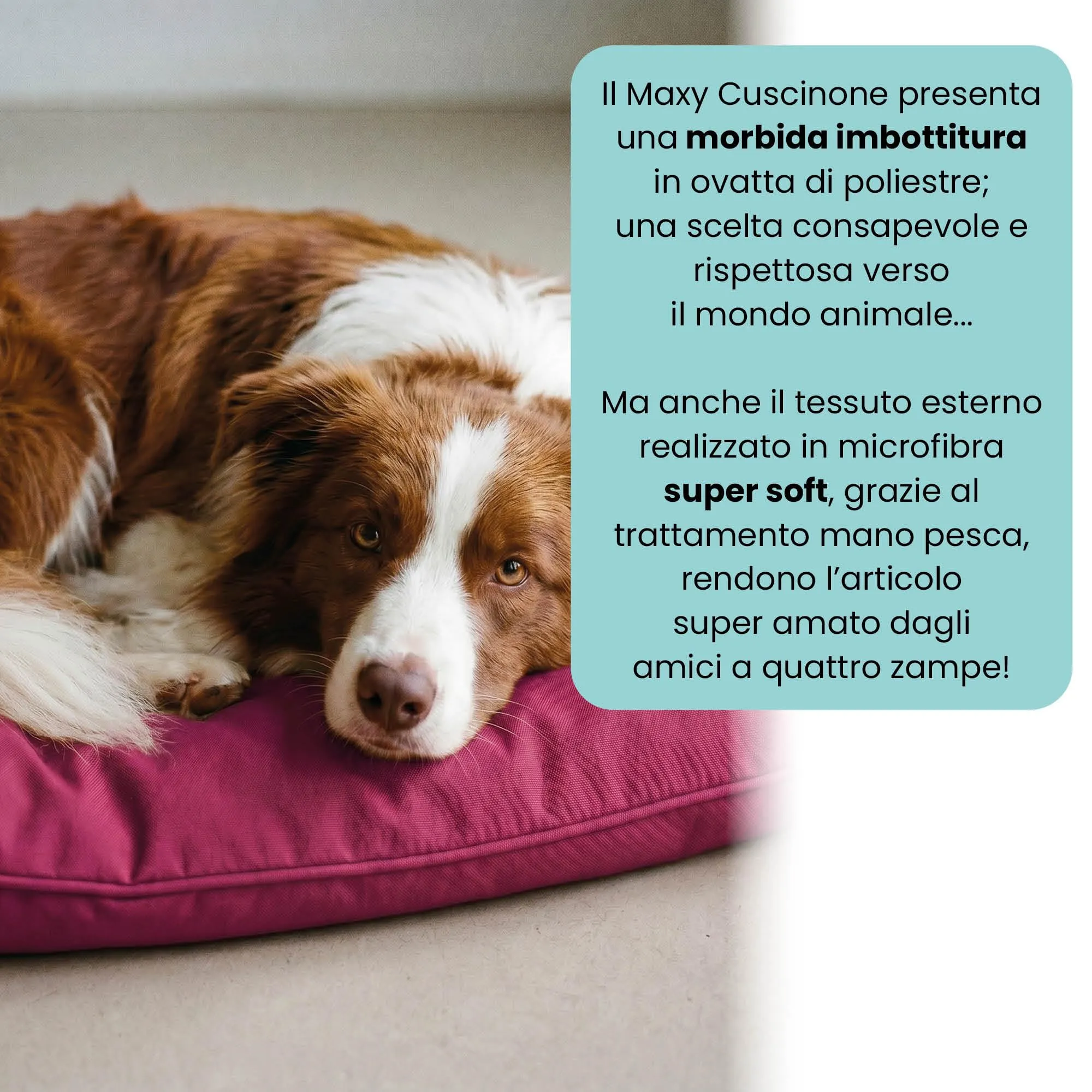 Maxy Cuscinone Cane e Gatto ELEGANT – Cuscino per Animali Domestici Imbottito e Trapuntato, in Microfibra, 60x100 cm, Materassino Morbido e Confortevole per Cani Taglia Piccola/Media/Grande, Fucsia - immagine 3