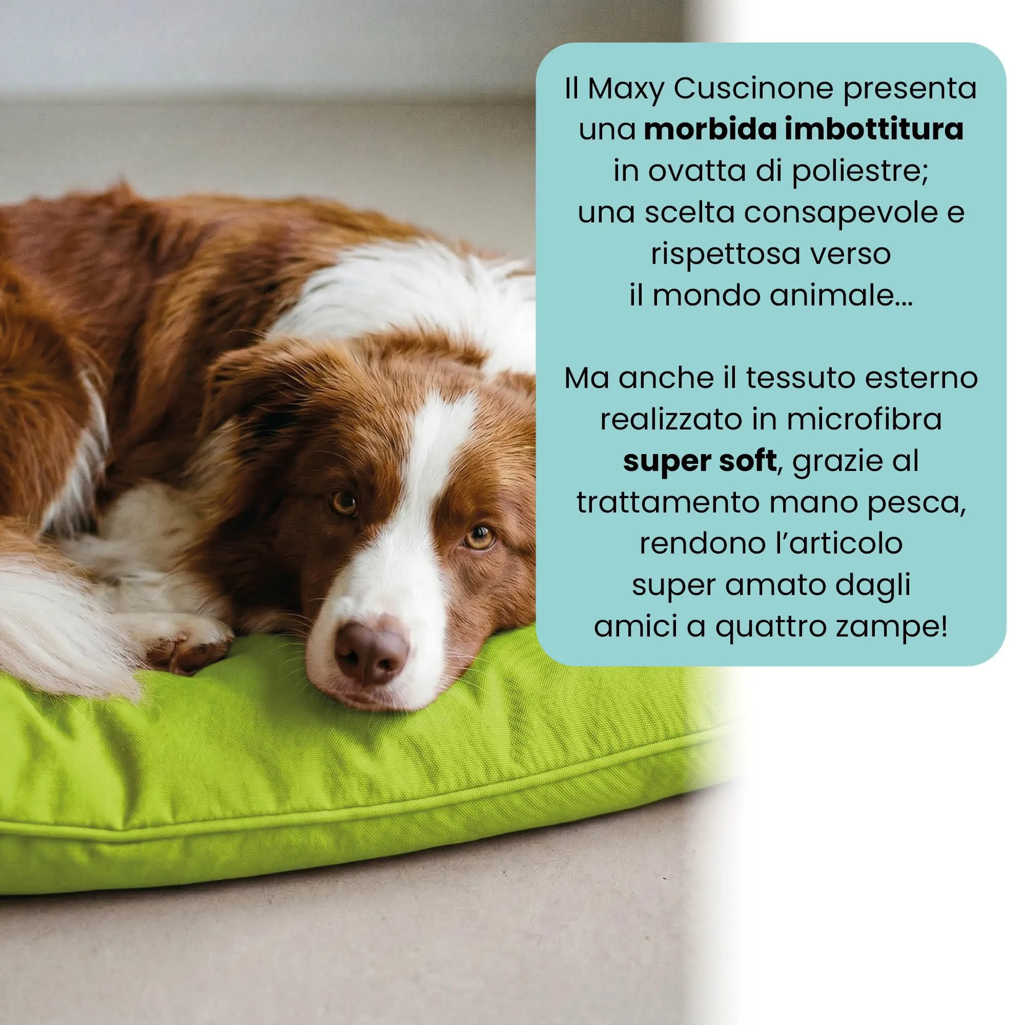 Maxy Cuscinone Cane e Gatto ELEGANT – Cuscino per Animali Domestici Imbottito e Trapuntato, in Microfibra, 60x100 cm, Materassino Confortevole per Cani Taglia Piccola/Media/Grande, Verde Mela - immagine 3