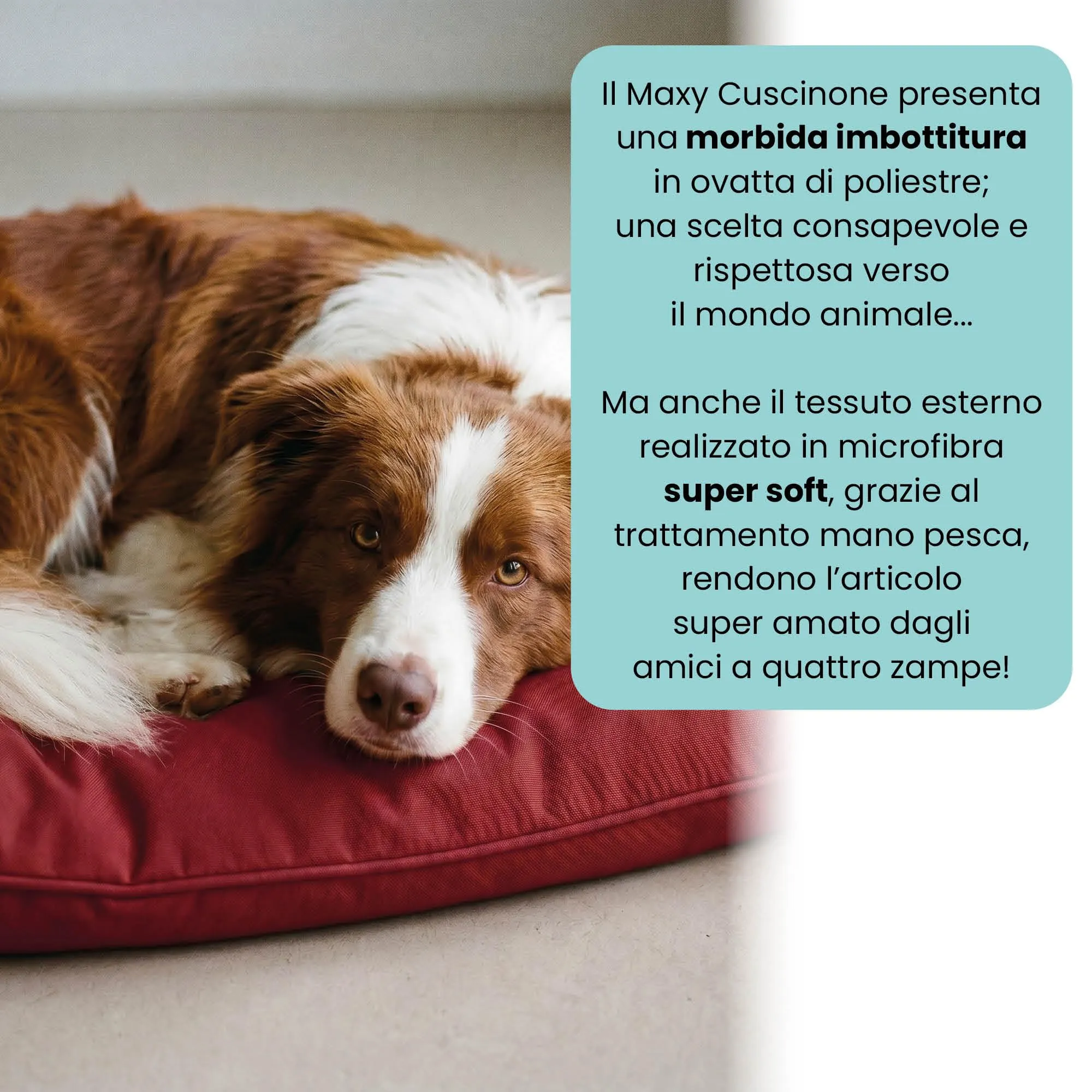 Maxy Cuscinone Cane e Gatto ELEGANT – Cuscino per Animali Domestici Imbottito e Trapuntato, in Microfibra, 60x100 cm, Materassino Morbido e Confortevole per Cani Taglia Piccola/Media/Grande, Bordeaux - immagine 3