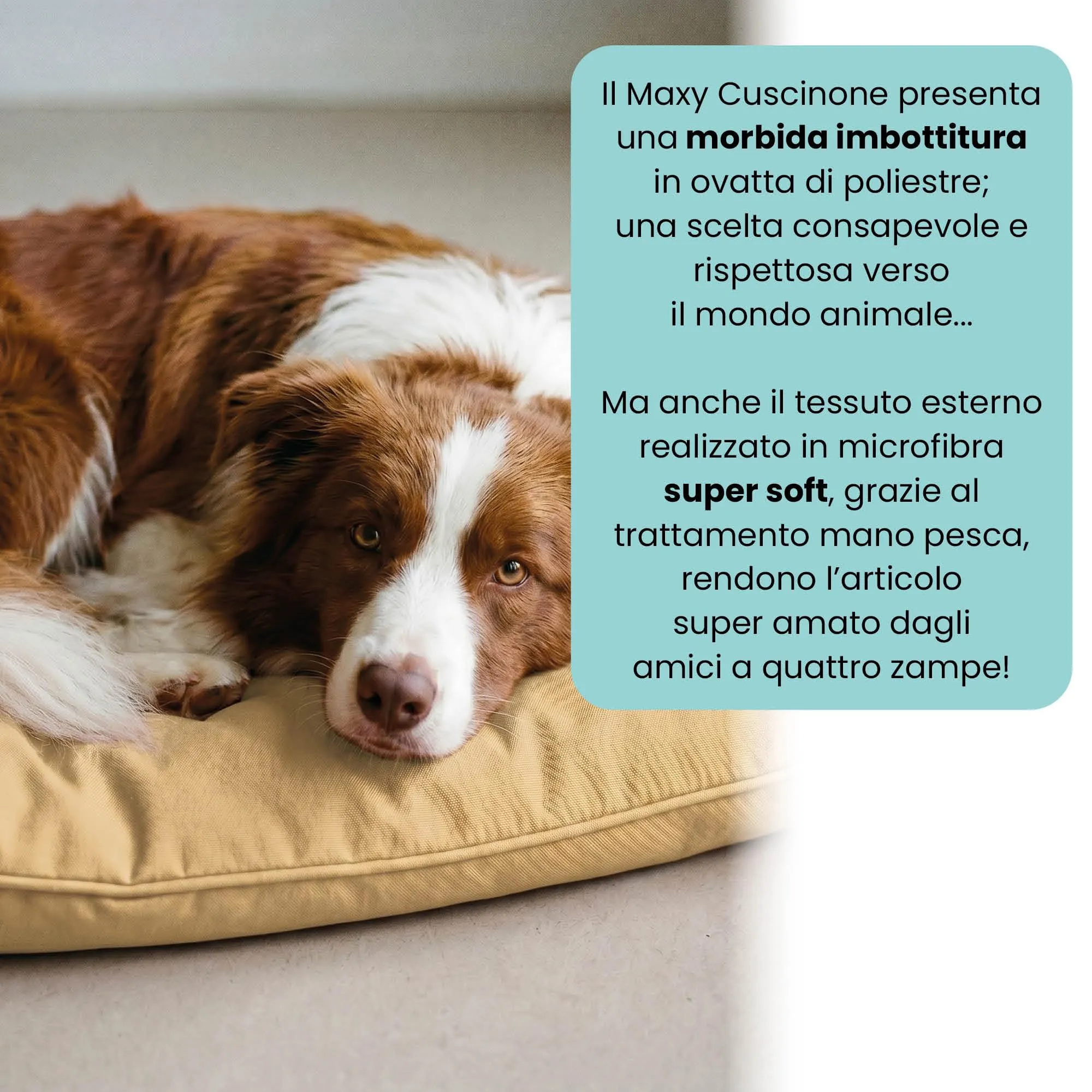 Maxy Cuscinone Cane e Gatto ELEGANT – Cuscino per Animali Domestici Imbottito e Trapuntato, in Microfibra, 60x100 cm, Materassino Morbido e Confortevole per Cani Taglia Piccola/Media/Grande, Panna - immagine 3