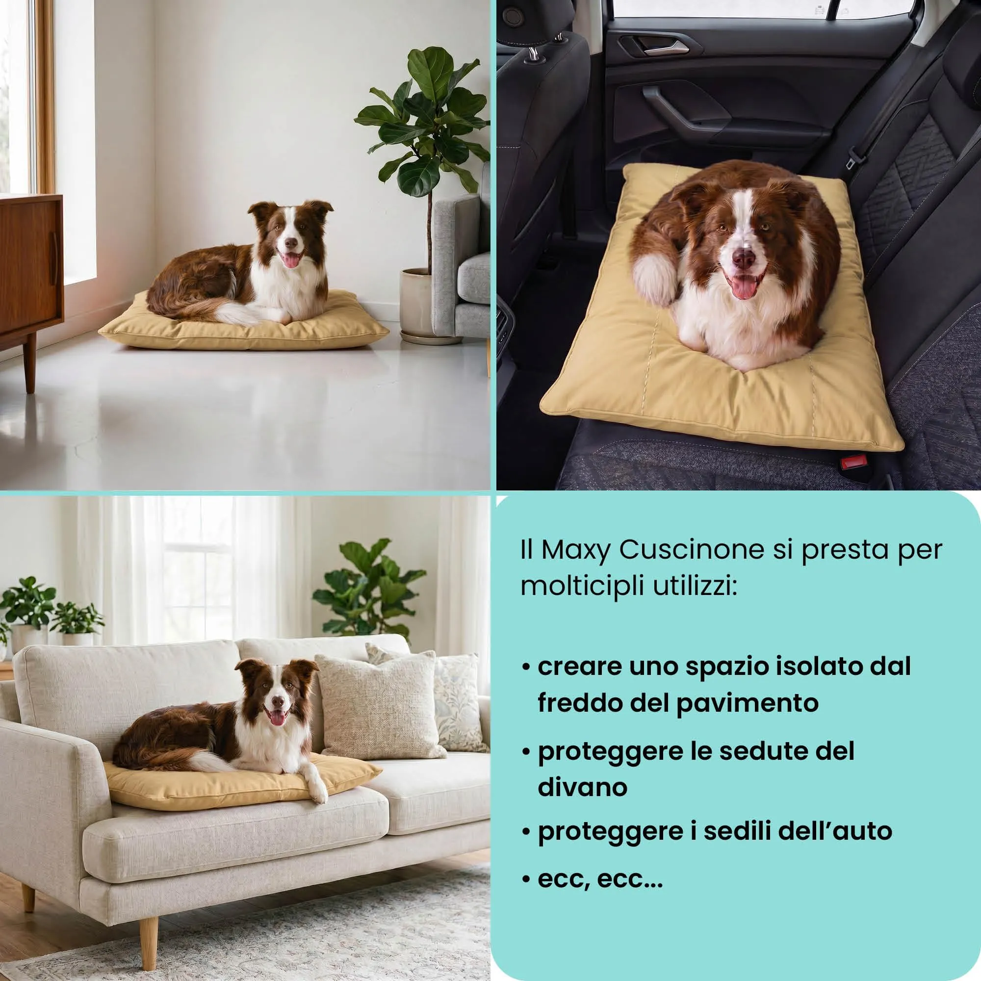 Maxy Cuscinone Cane e Gatto ELEGANT – Cuscino per Animali Domestici Imbottito e Trapuntato, in Microfibra, 60x100 cm, Materassino Morbido e Confortevole per Cani Taglia Piccola/Media/Grande, Panna - immagine 5