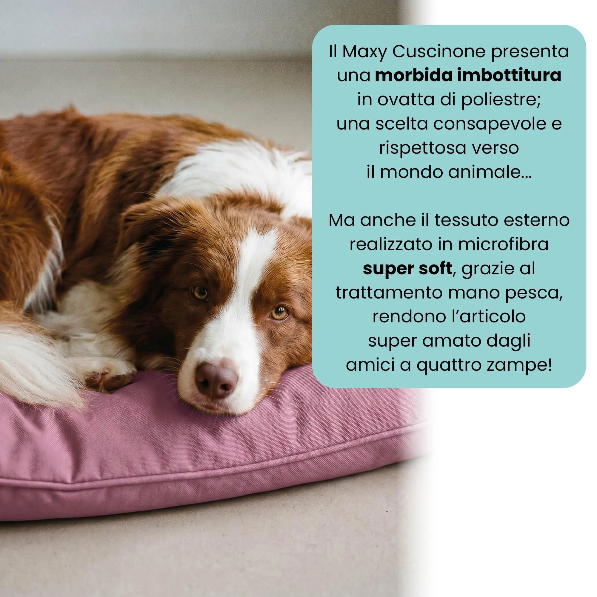 Maxy Cuscinone Cane e Gatto ELEGANT – Cuscino per Animali Domestici Imbottito e Trapuntato, in Microfibra, 60x100 cm, Materassino Morbido e Confortevole per Cani Taglia Piccola/Media/Grande, Lilla - immagine 3