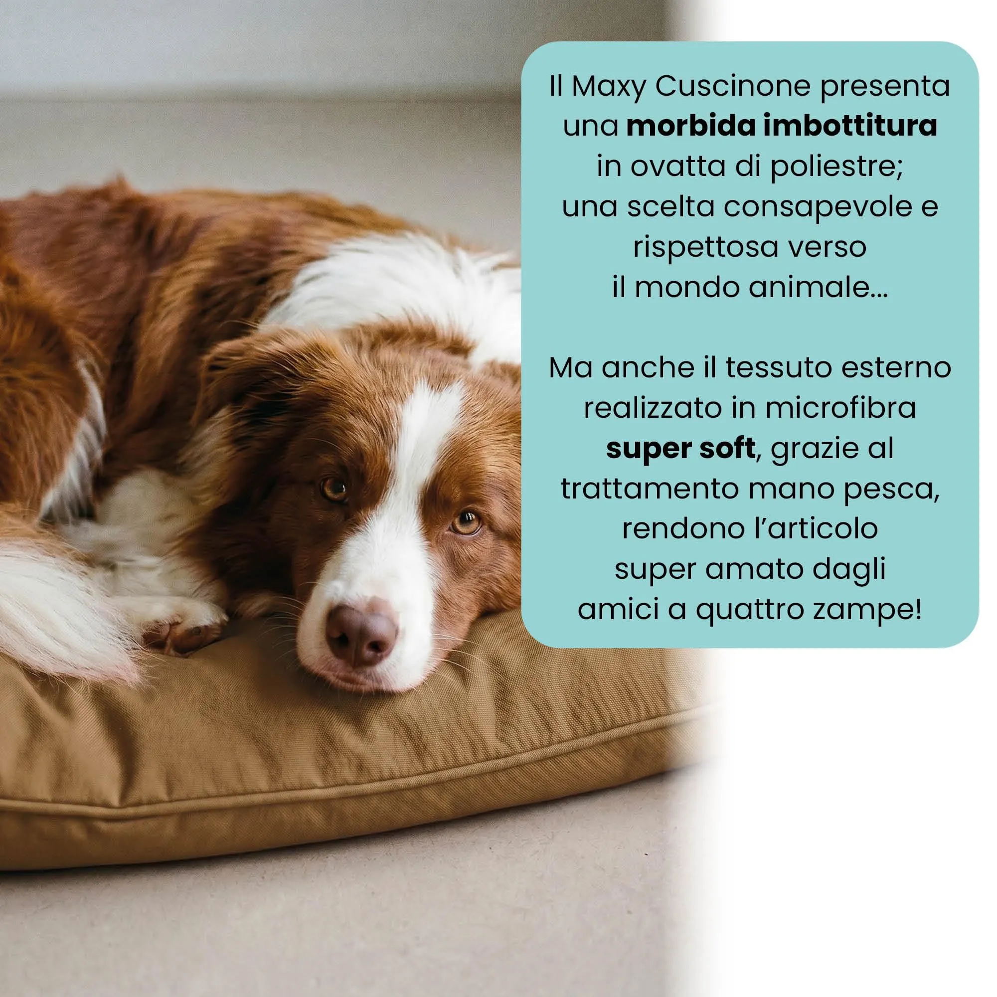 Maxy Cuscinone Cane e Gatto ELEGANT – Cuscino per Animali Domestici Imbottito e Trapuntato, in Microfibra, 60x100 cm, Materassino Morbido e Confortevole per Cani Taglia Piccola/Media/Grande, Nocciola - immagine 3