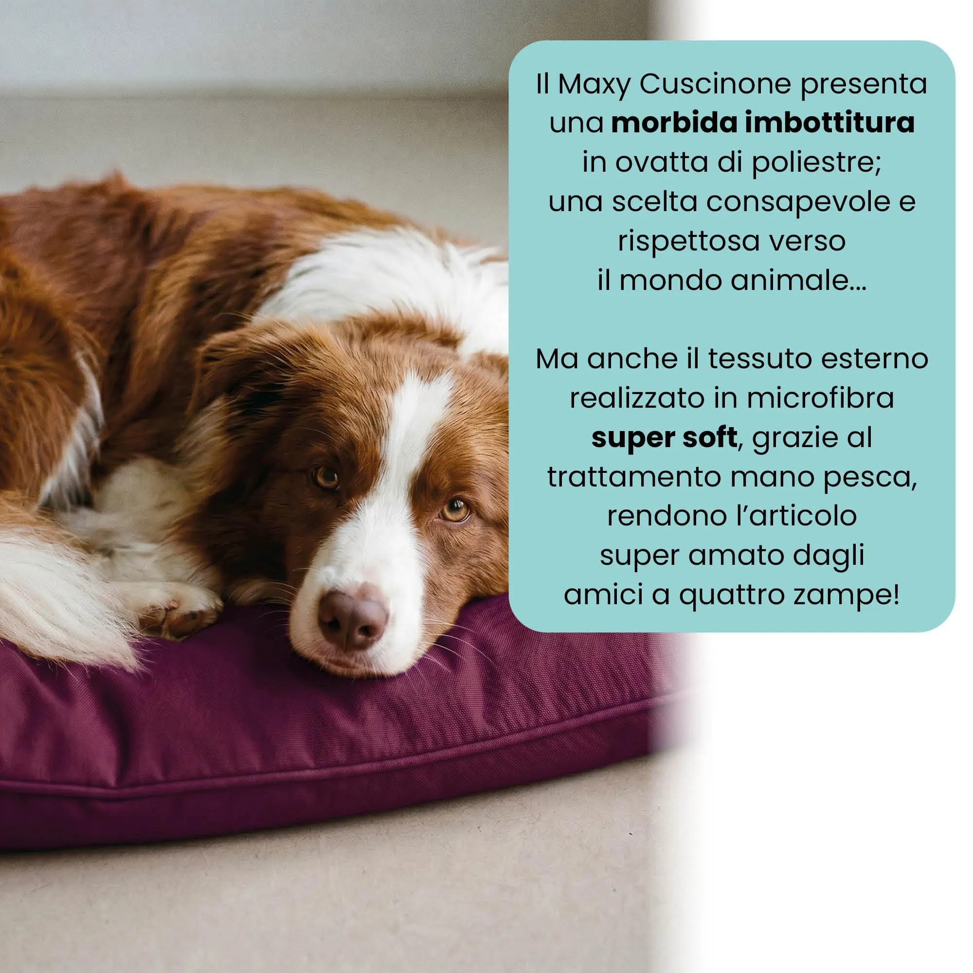 Maxy Cuscinone Cane e Gatto "ELEGANT" – Cuscino per Animali Domestici Imbottito e Trapuntato, 60x100 cm, Materassino Morbido e Confortevole per Cani Taglia Piccola/Media/Grande, Prugna - immagine 3