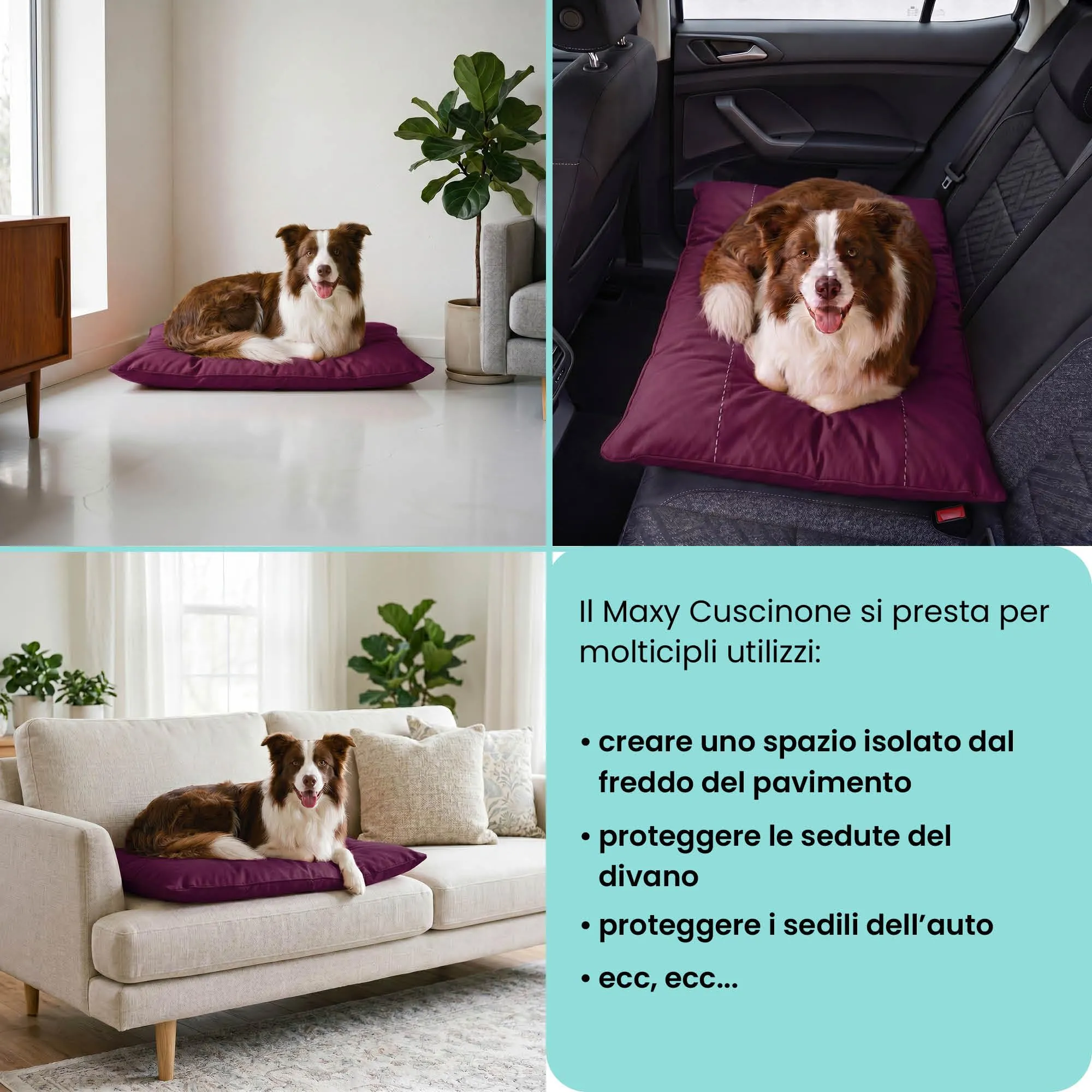 Maxy Cuscinone Cane e Gatto "ELEGANT" – Cuscino per Animali Domestici Imbottito e Trapuntato, 60x100 cm, Materassino Morbido e Confortevole per Cani Taglia Piccola/Media/Grande, Prugna - immagine 5