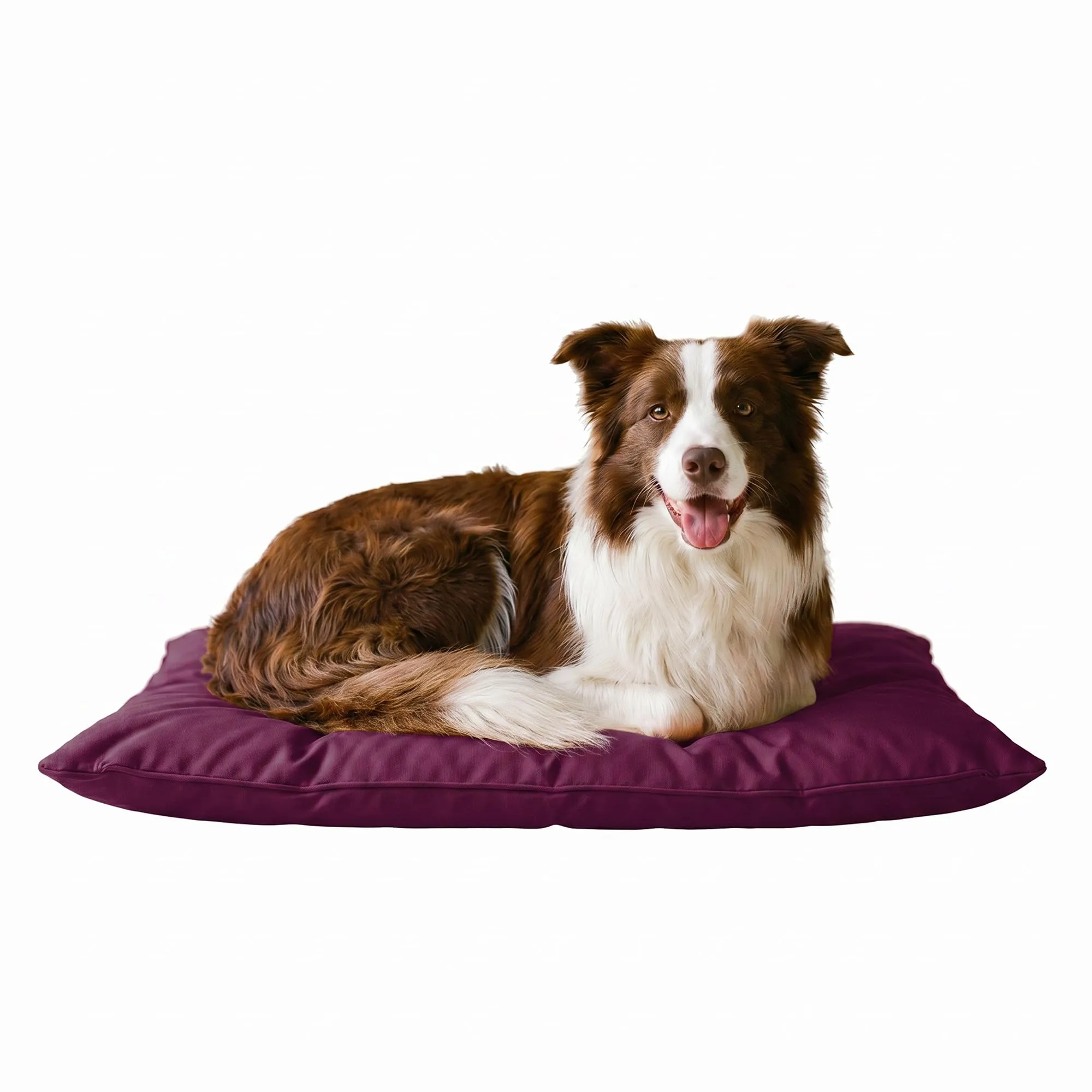 Maxy Cuscinone Cane e Gatto "ELEGANT" – Cuscino per Animali Domestici Imbottito e Trapuntato, 60x100 cm, Materassino Morbido e Confortevole per Cani Taglia Piccola/Media/Grande, Prugna - immagine 9