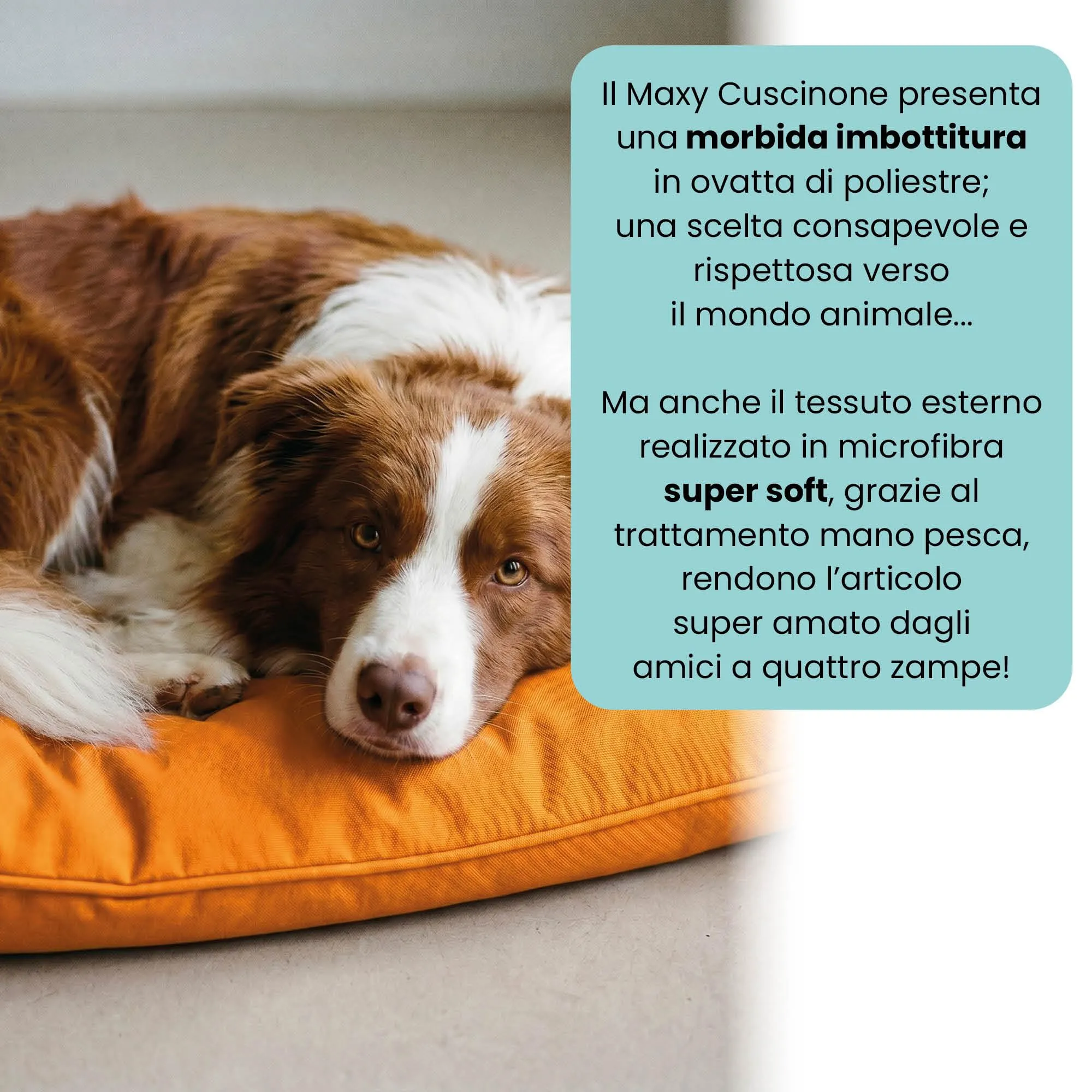 Maxy Cuscinone Cane e Gatto ELEGANT – Cuscino per Animali Domestici Imbottito e Trapuntato, in Microfibra, 60x100 cm, Materassino Morbido e Confortevole per Cani Taglia Piccola/Media/Grande, Giallo - immagine 3