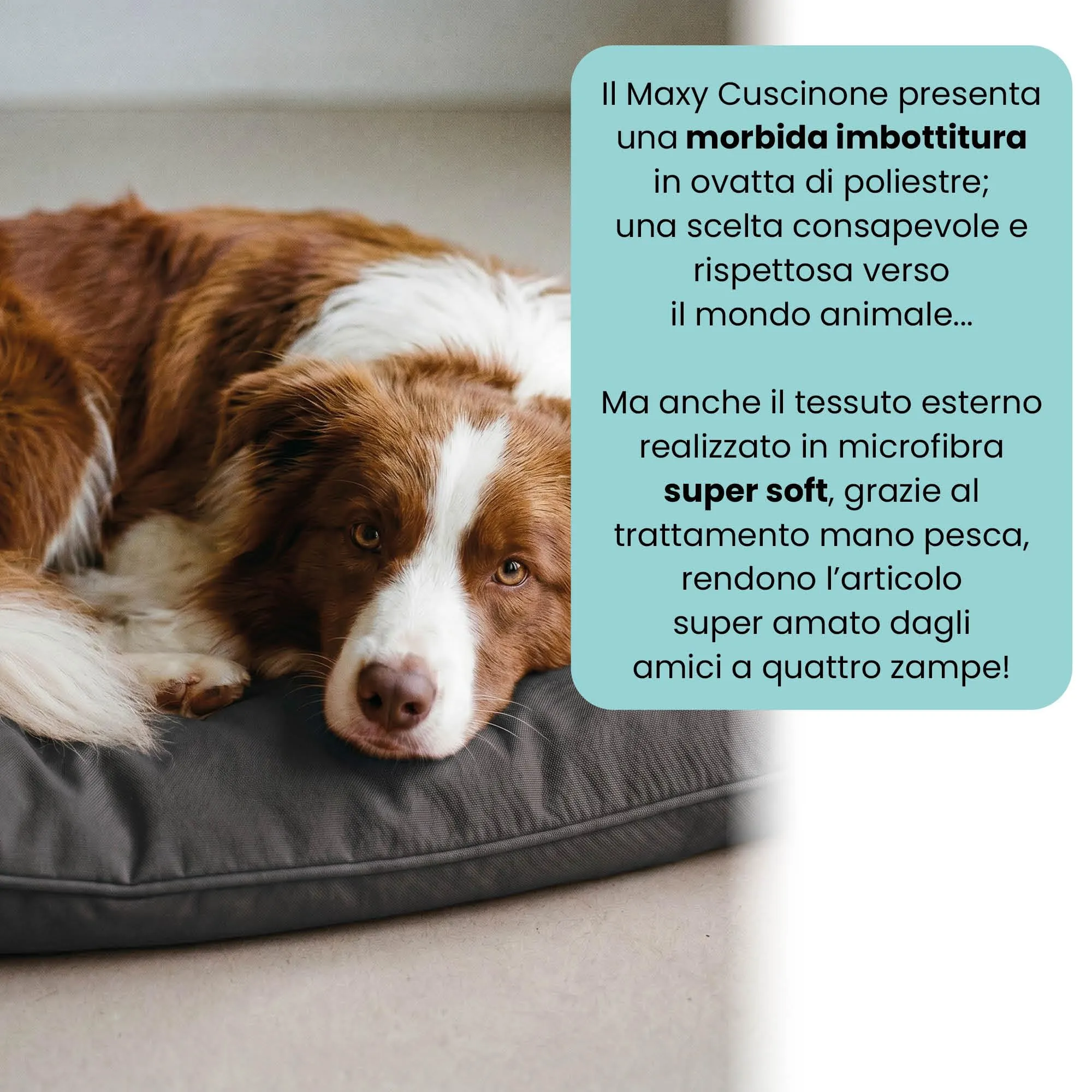 Maxy Cuscinone Cane e Gatto ELEGANT – Cuscino per Animali Domestici Imbottito e Trapuntato, in Microfibra, 60x100 cm, Materassino Confortevole per Cani Taglia Piccola/Media/Grande, Grigio Scuro - immagine 3