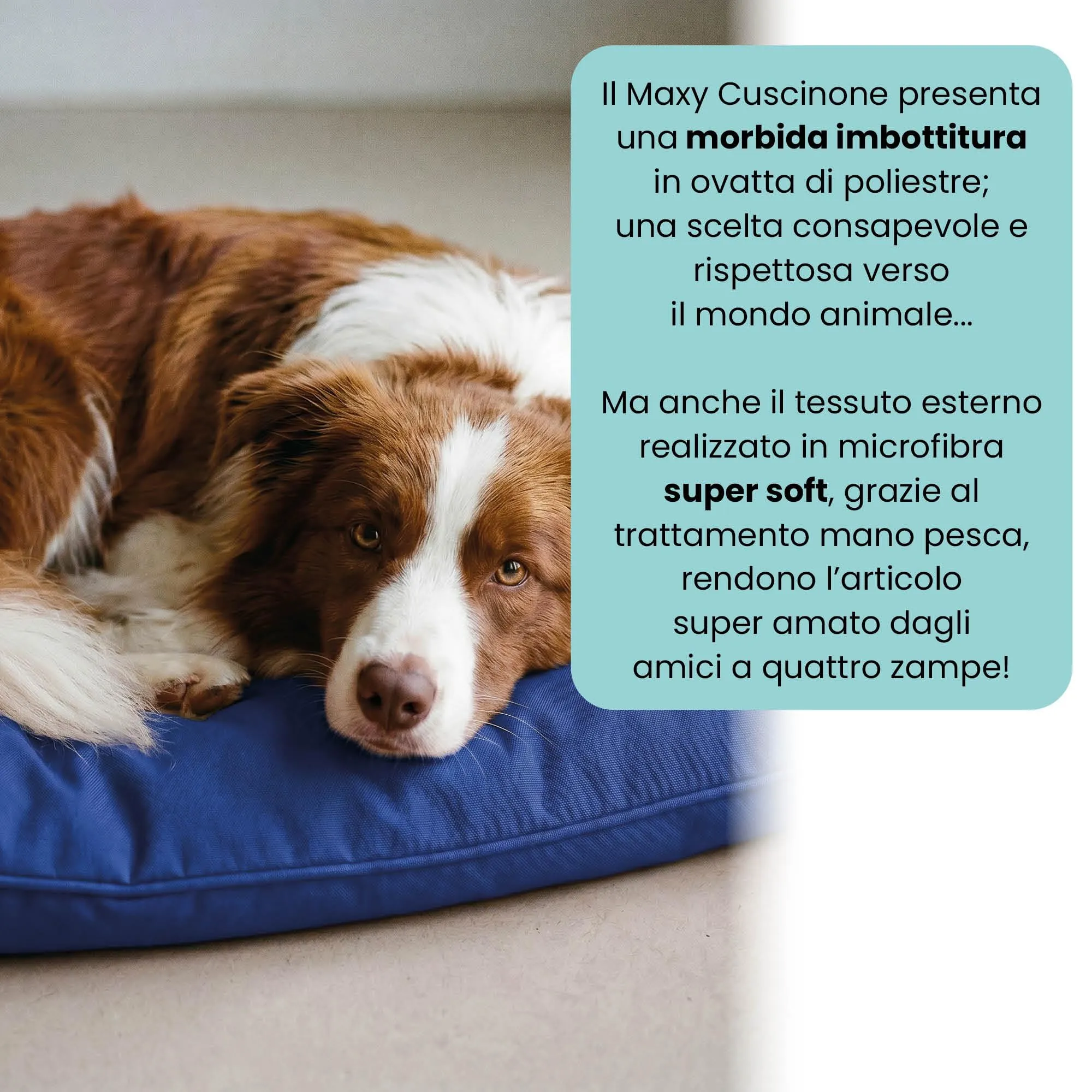 Maxy Cuscinone Cane e Gatto ELEGANT – Cuscino per Animali Domestici Imbottito e Trapuntato, in Microfibra, 60x100 cm, Materassino Morbido e Confortevole per Cani Taglia Piccola/Media/Grande, Royal - immagine 3