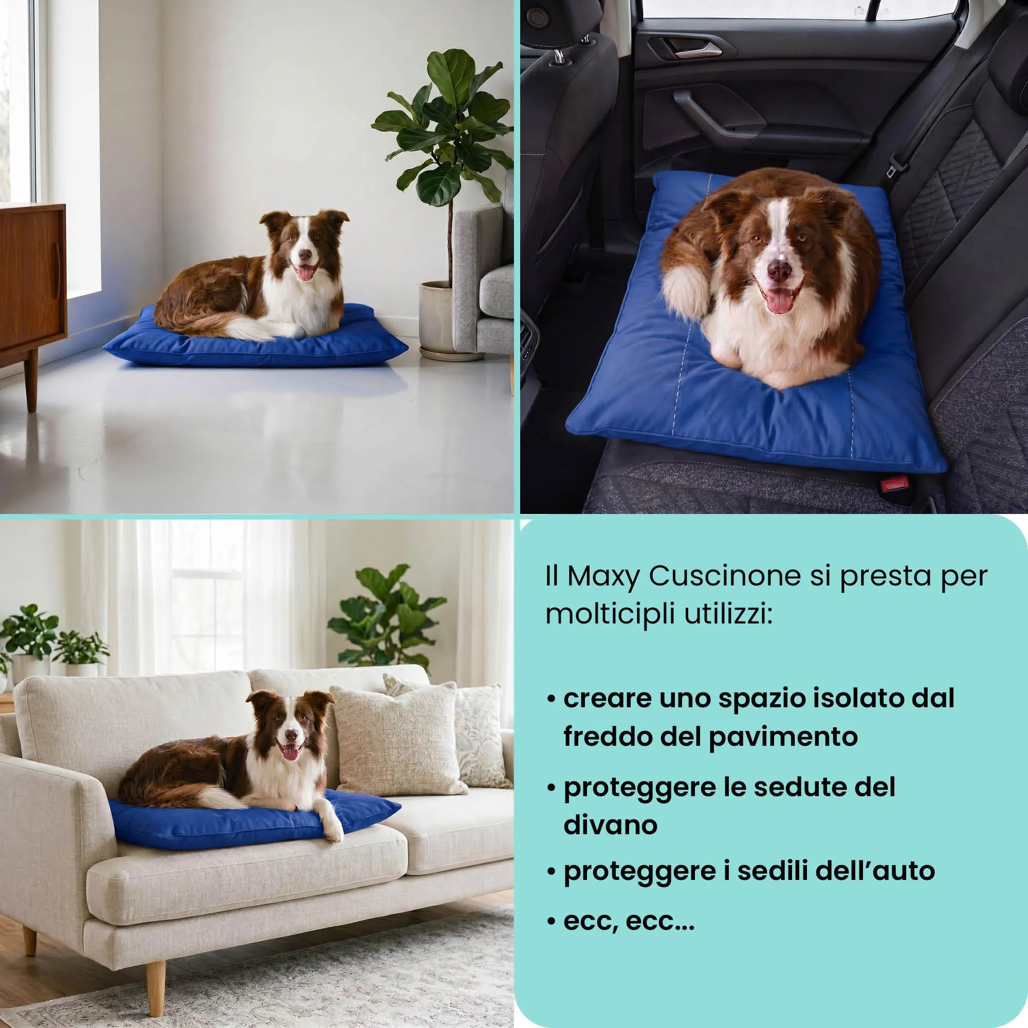 Maxy Cuscinone Cane e Gatto ELEGANT – Cuscino per Animali Domestici Imbottito e Trapuntato, in Microfibra, 60x100 cm, Materassino Morbido e Confortevole per Cani Taglia Piccola/Media/Grande, Royal - immagine 5