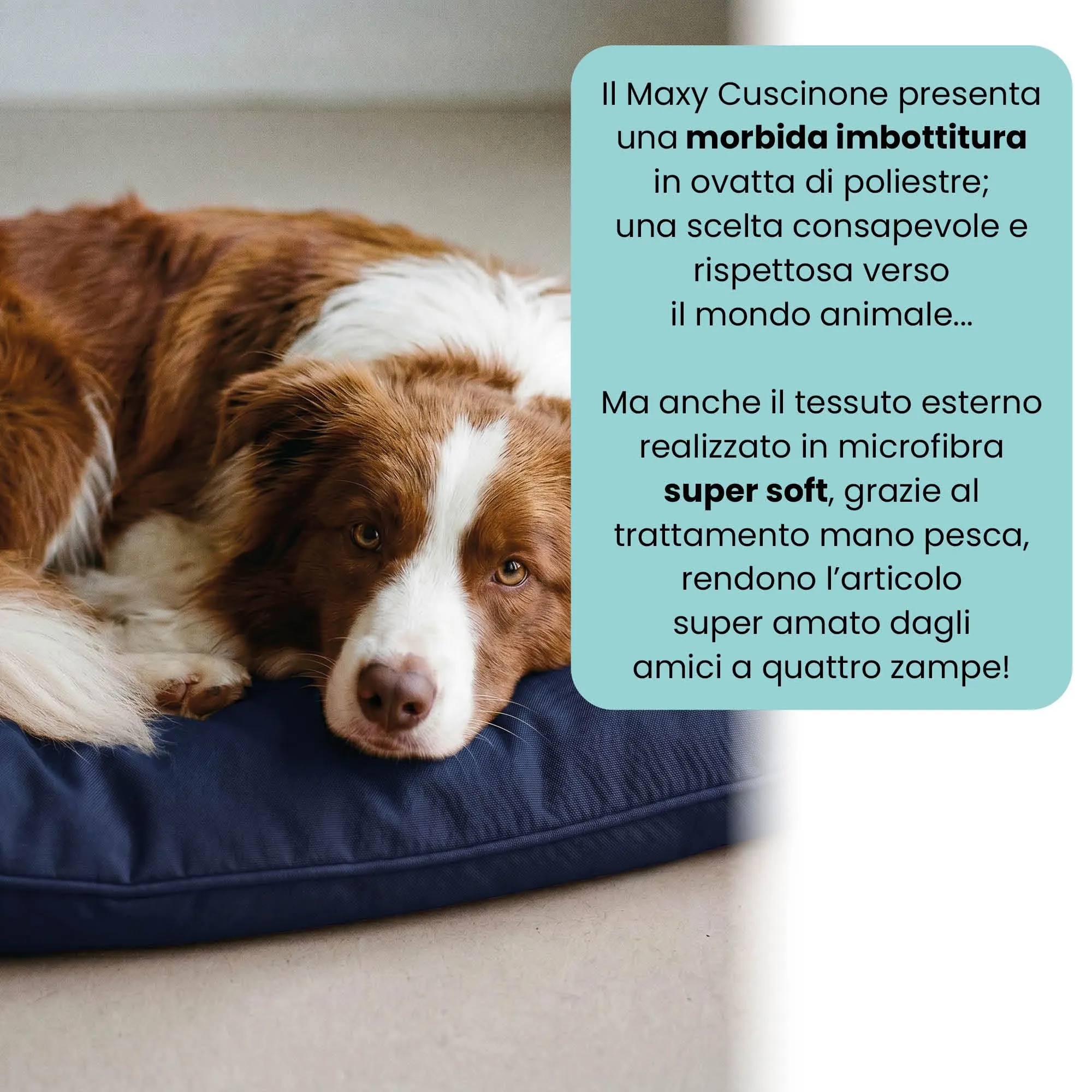Maxy Cuscinone Cane e Gatto ELEGANT – Cuscino per Animali Domestici Imbottito e Trapuntato, in Microfibra, 60x100 cm, Materassino Morbido e Confortevole per Cani Taglia Piccola/Media/Grande, Blu Scuro - immagine 3