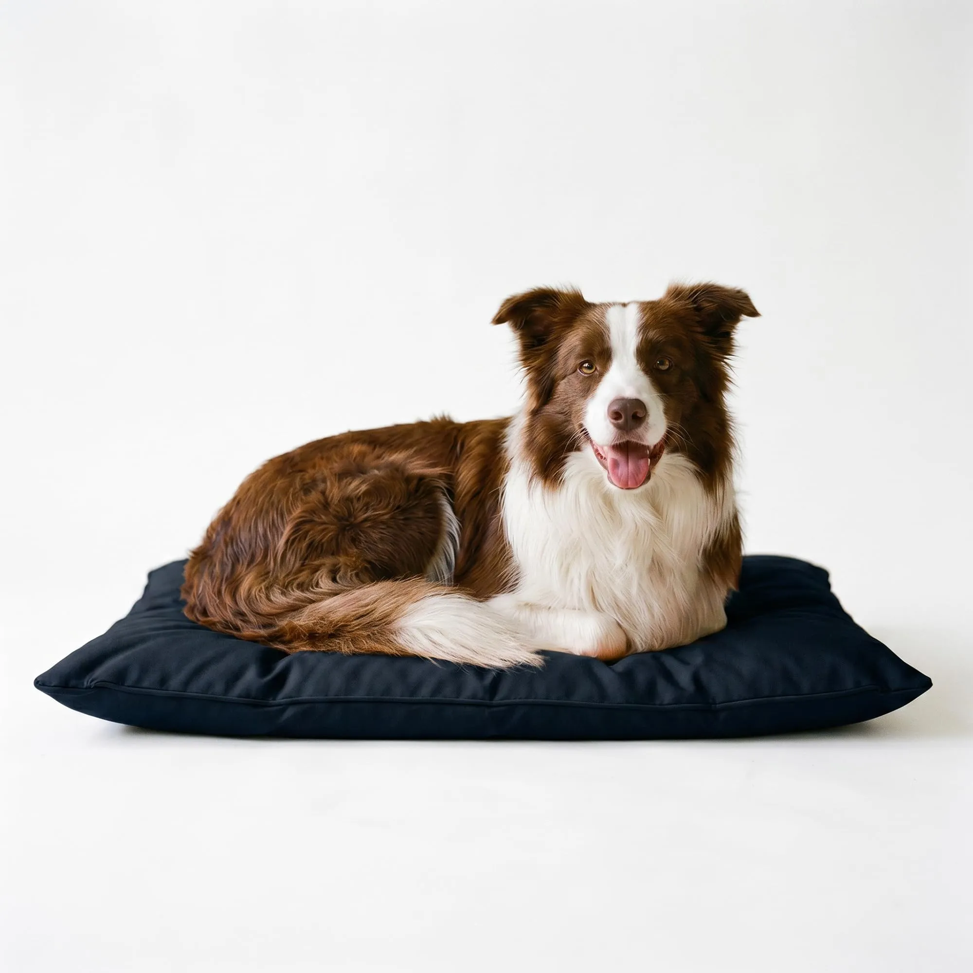 Maxy Cuscinone Cane e Gatto ELEGANT – Cuscino per Animali Domestici Imbottito e Trapuntato, in Microfibra, 60x100 cm, Materassino Morbido e Confortevole per Cani Taglia Piccola/Media/Grande, Blu Scuro - immagine 9