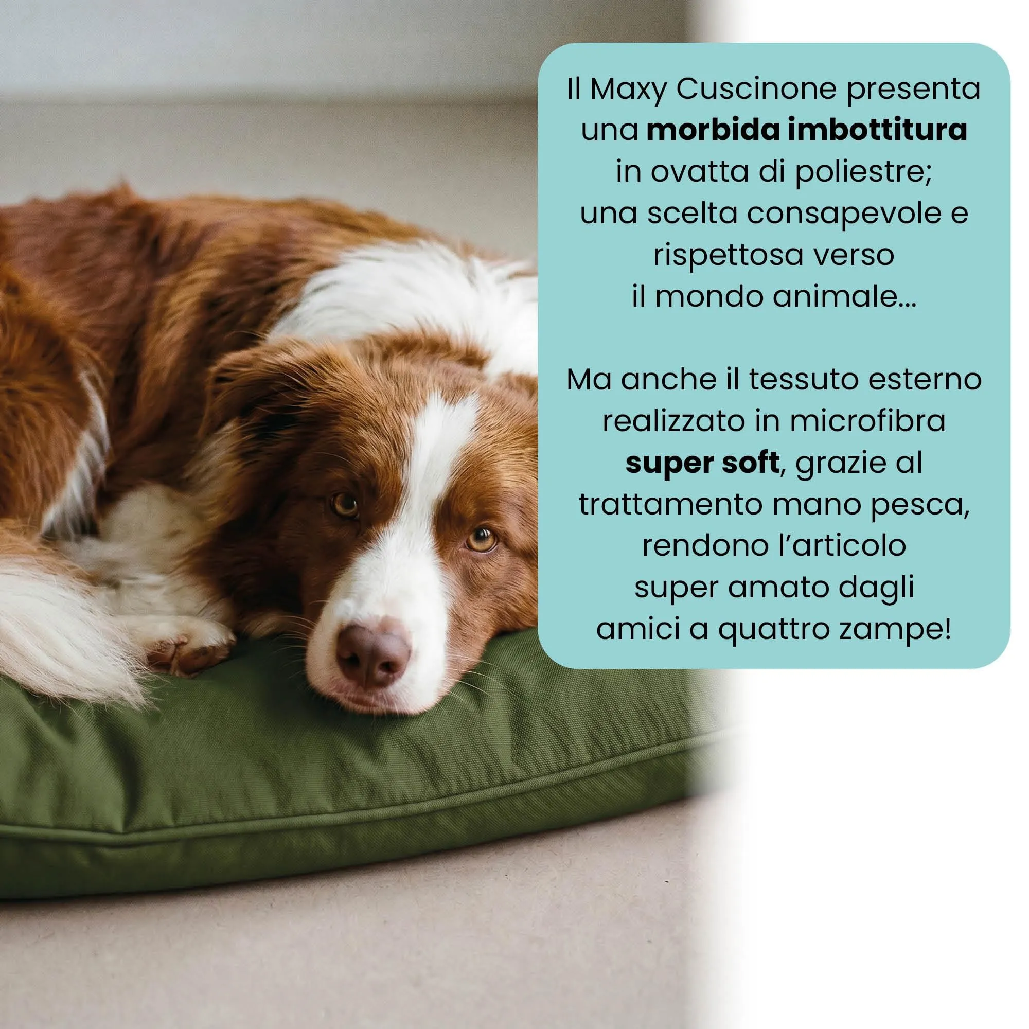 Maxy Cuscinone Cane e Gatto ELEGANT – Cuscino per Animali Domestici Imbottito e Trapuntato, in Microfibra, 60x100 cm, Materassino Confortevole per Cani Taglia Piccola/Media/Grande, Verde Scuro - immagine 3