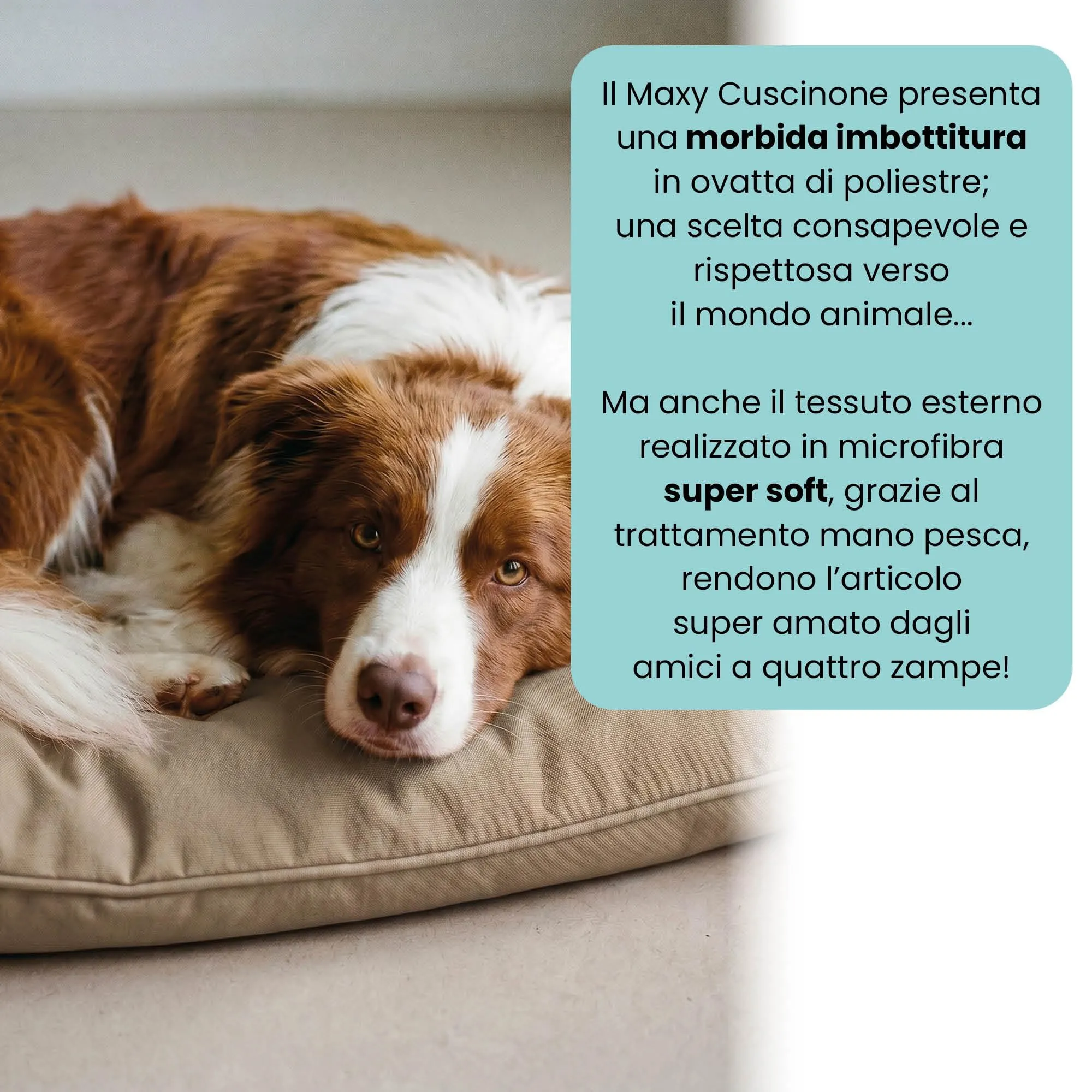 Maxy Cuscinone Cane e Gatto ELEGANT – Cuscino per Animali Domestici Imbottito e Trapuntato, in Microfibra, 60x100 cm, Materassino Confortevole per Cani Taglia Piccola/Media/Grande, Grigio Chiaro - immagine 3