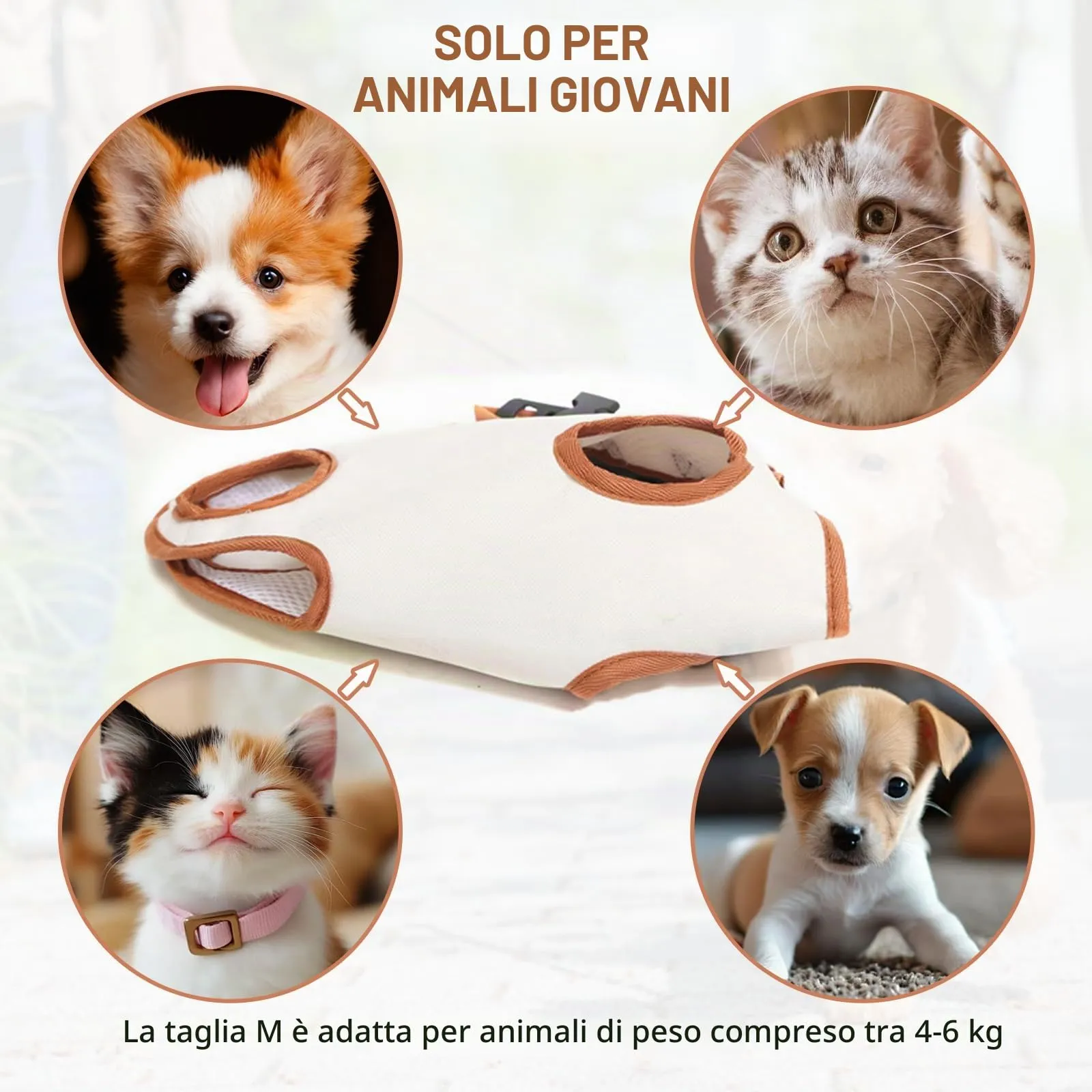 Trasportino Zaino per Cani Fino a 6 kg, Piccola Borsa da Viaggio per Cani,Regolabile Zaino Cane per Cane Gatto Fino a 6kg, per Passeggiata,Viaggio - immagine 7