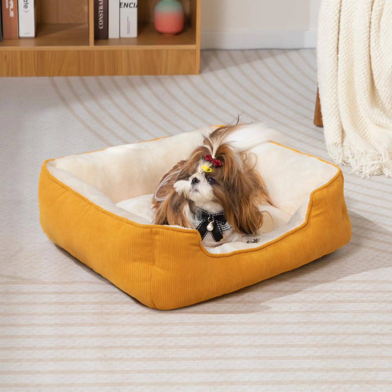 Hollypet Cuccia per gatti e cuccioli - immagine 3