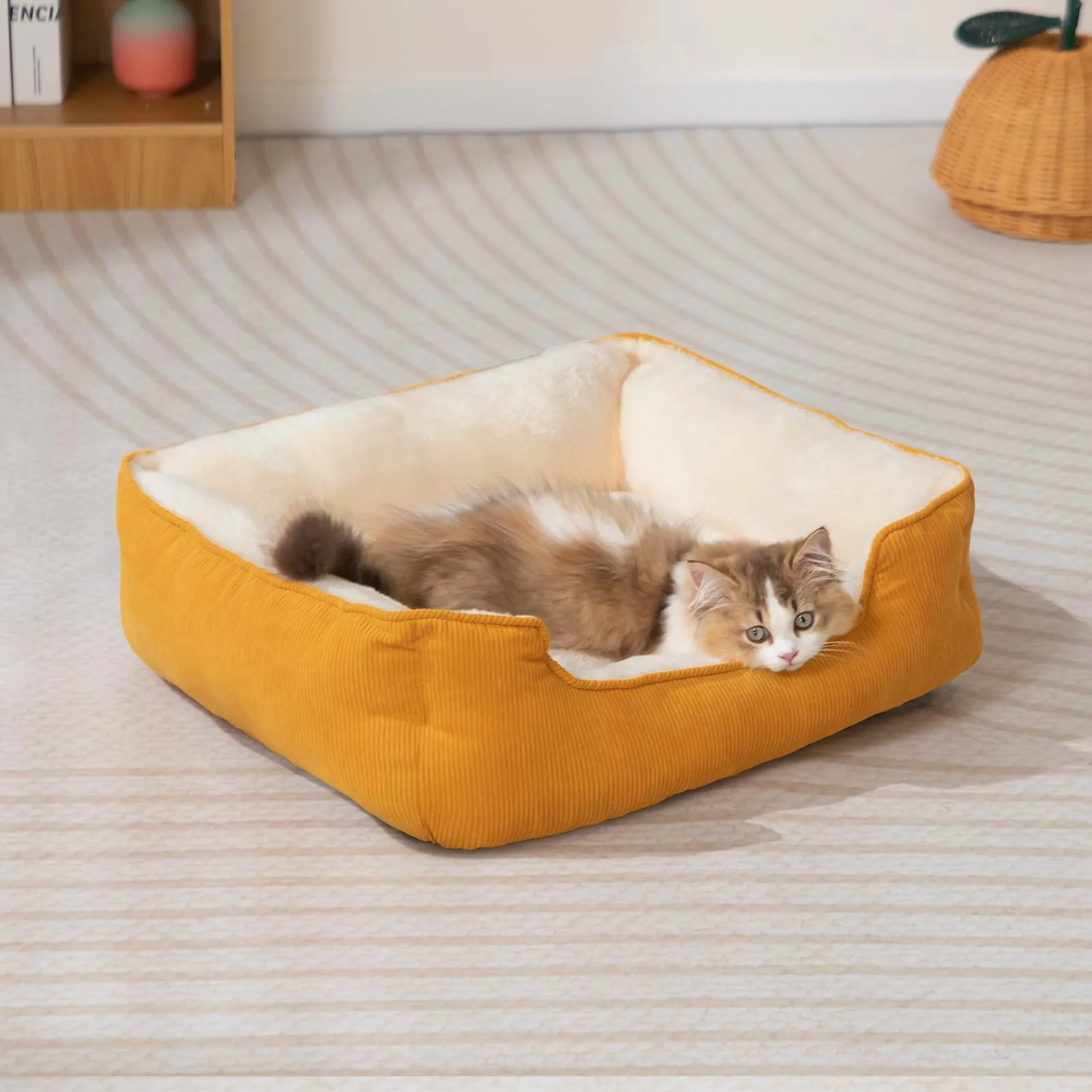 Hollypet Cuccia per gatti e cuccioli - immagine 4