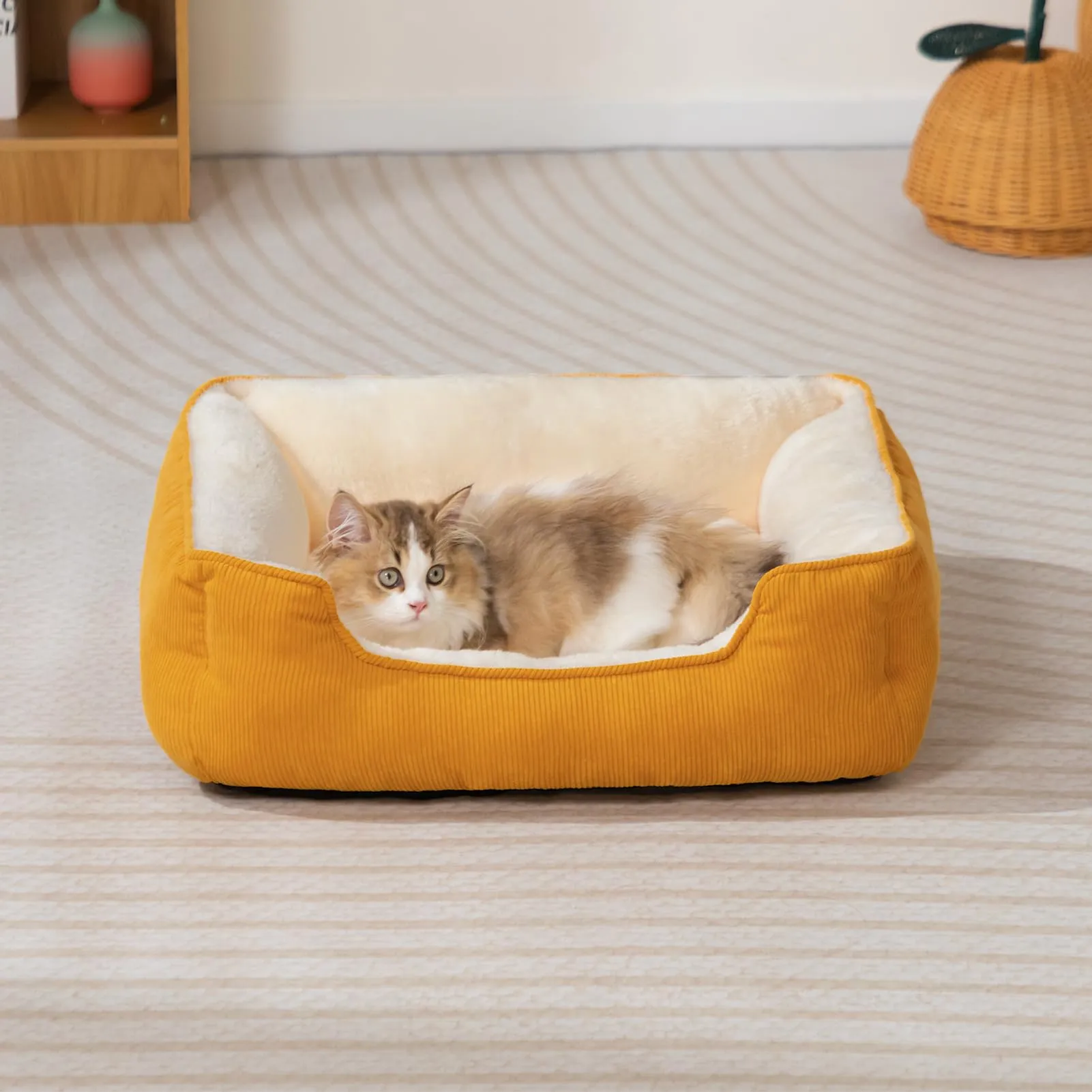 Hollypet Cuccia per gatti e cuccioli - immagine 5