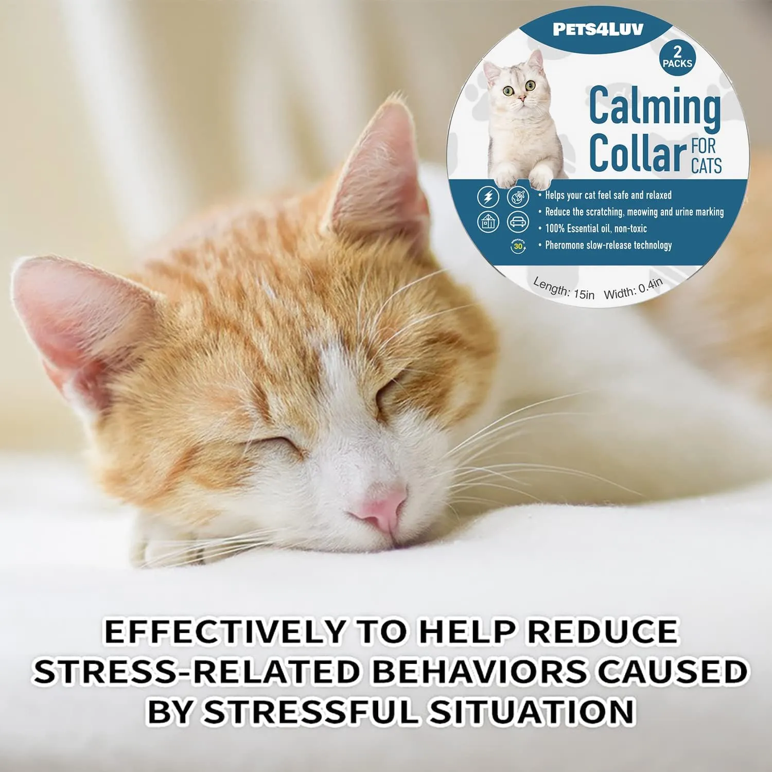 Pets4Luv Collare calmante per Gatti - Collari calmanti ai feromoni, Anti ansia per Gatti di Taglia Piccola, Media e Grande - Regolabile e Impermeabile, 100% Naturale, Confezione da 2 Viola - immagine 6