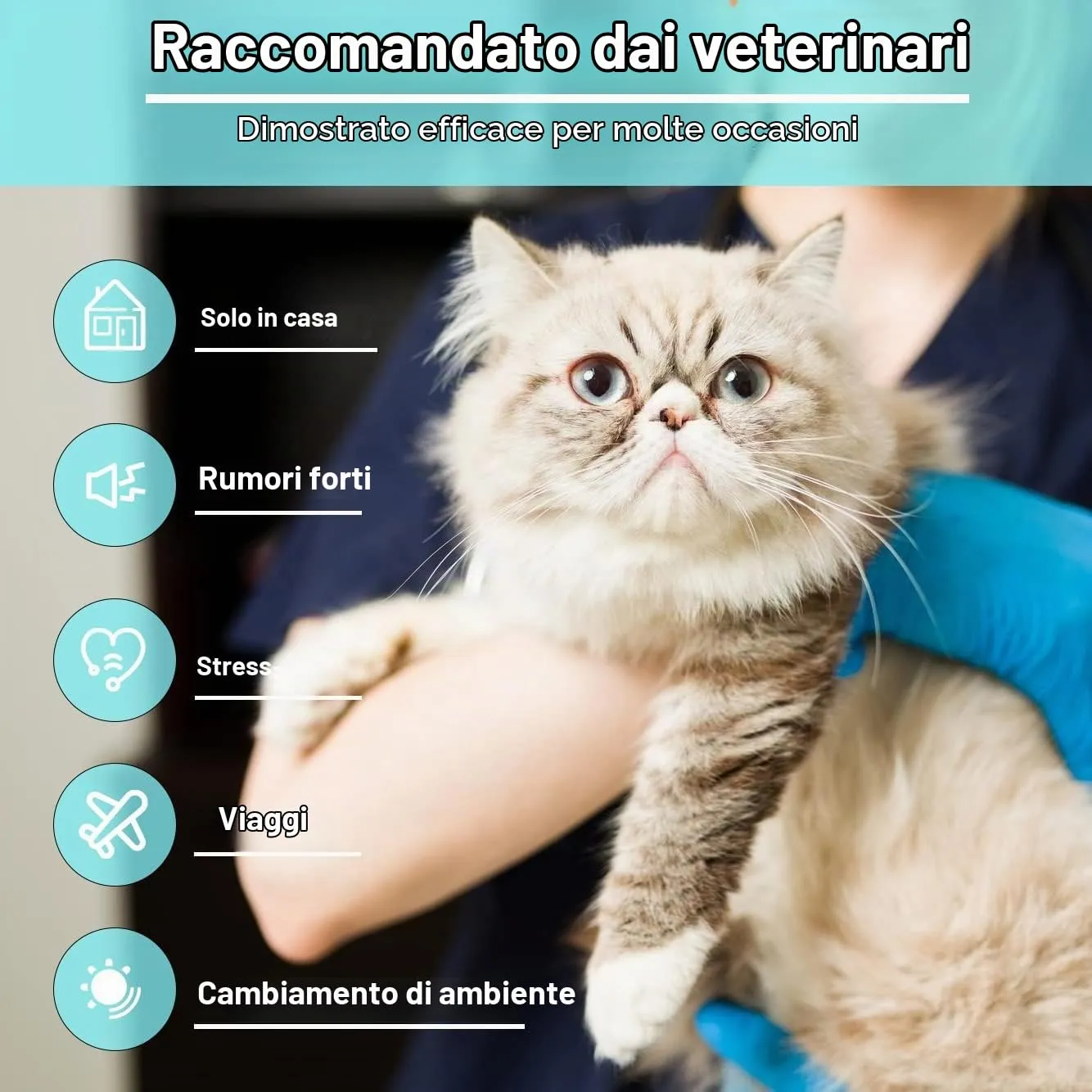 Pets4Luv Collare calmante per Gatti - Collari calmanti ai feromoni, Anti ansia per Gatti di Taglia Piccola, Media e Grande - Regolabile e Impermeabile, 100% Naturale, Confezione da 2 Viola - immagine 9