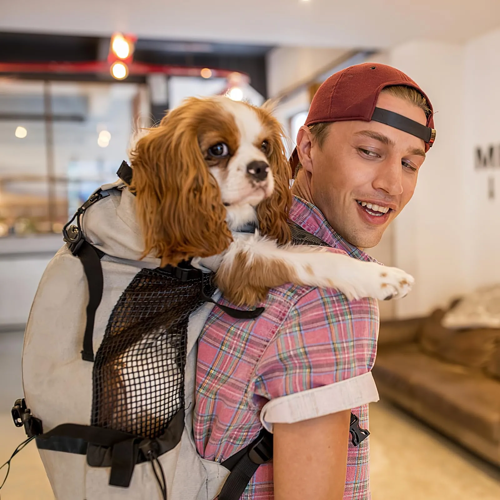 Galatée Zaino Per Cani, Zaino Per Cani Regolabile Portatile, Zaino Per Trasportini Ventilato, Zaino Per Animali Domestici Per Passeggiate All'Aperto Escursionismo Alpinismo Viaggi(S, Grigio) - immagine 7