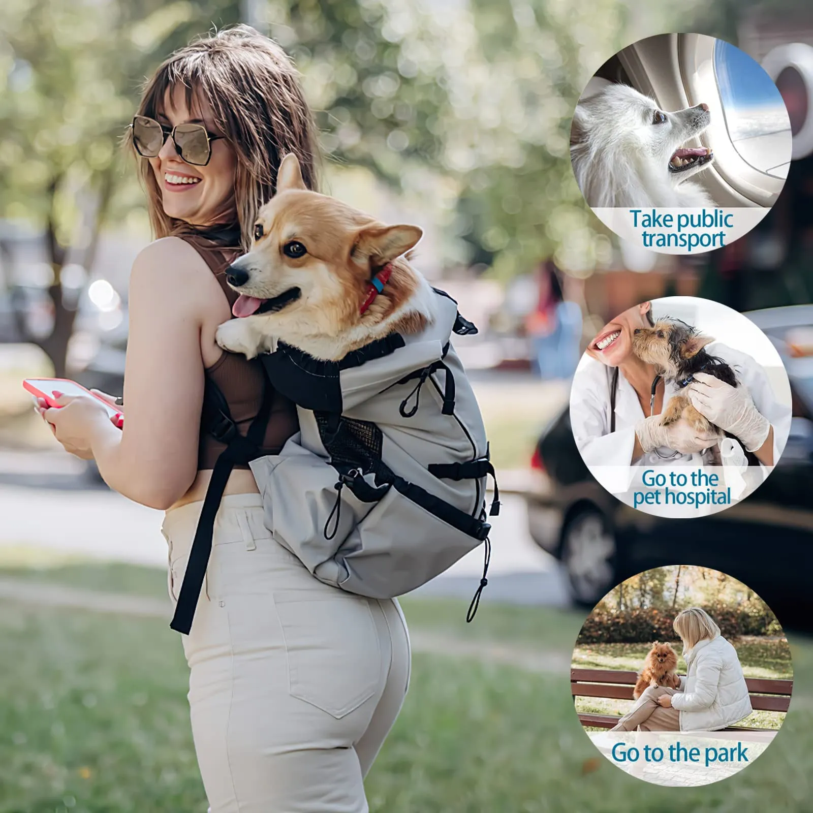 Galatée Zaino Per Cani, Zaino Per Cani Regolabile Portatile, Zaino Per Trasportini Ventilato, Zaino Per Animali Domestici Per Passeggiate All'Aperto Escursionismo Alpinismo Viaggi(M, Grigio) - immagine 6