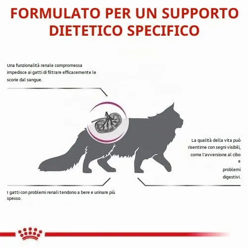 Veterinary Renal | Secco per gatti adulti | 2 x 400 g - immagine 8