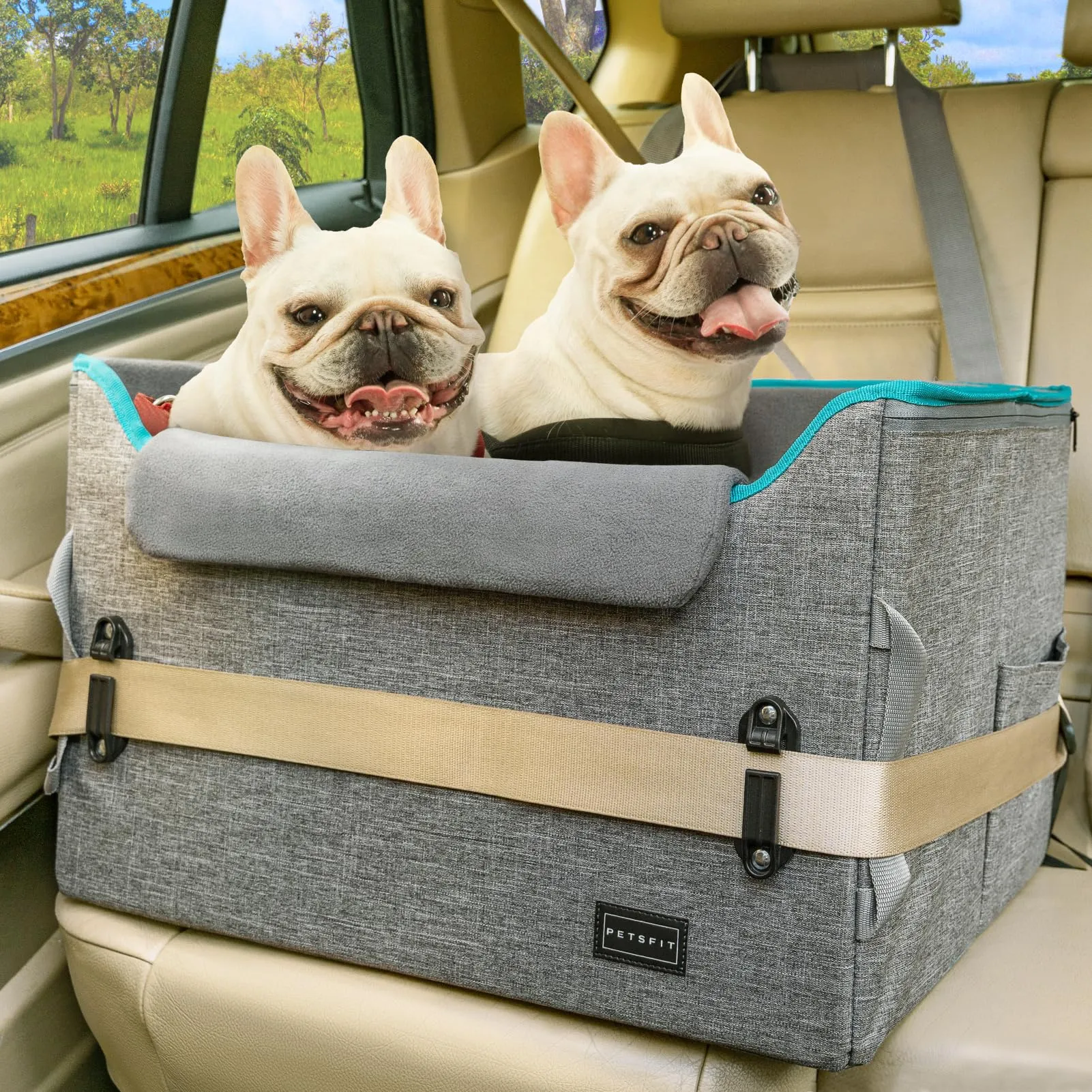 Petsfit Seggiolino Auto per cani piccoli, Trasportino cane Auto posteriore con clip di sicurezza per la cintura e cuscino in peluche - immagine 1