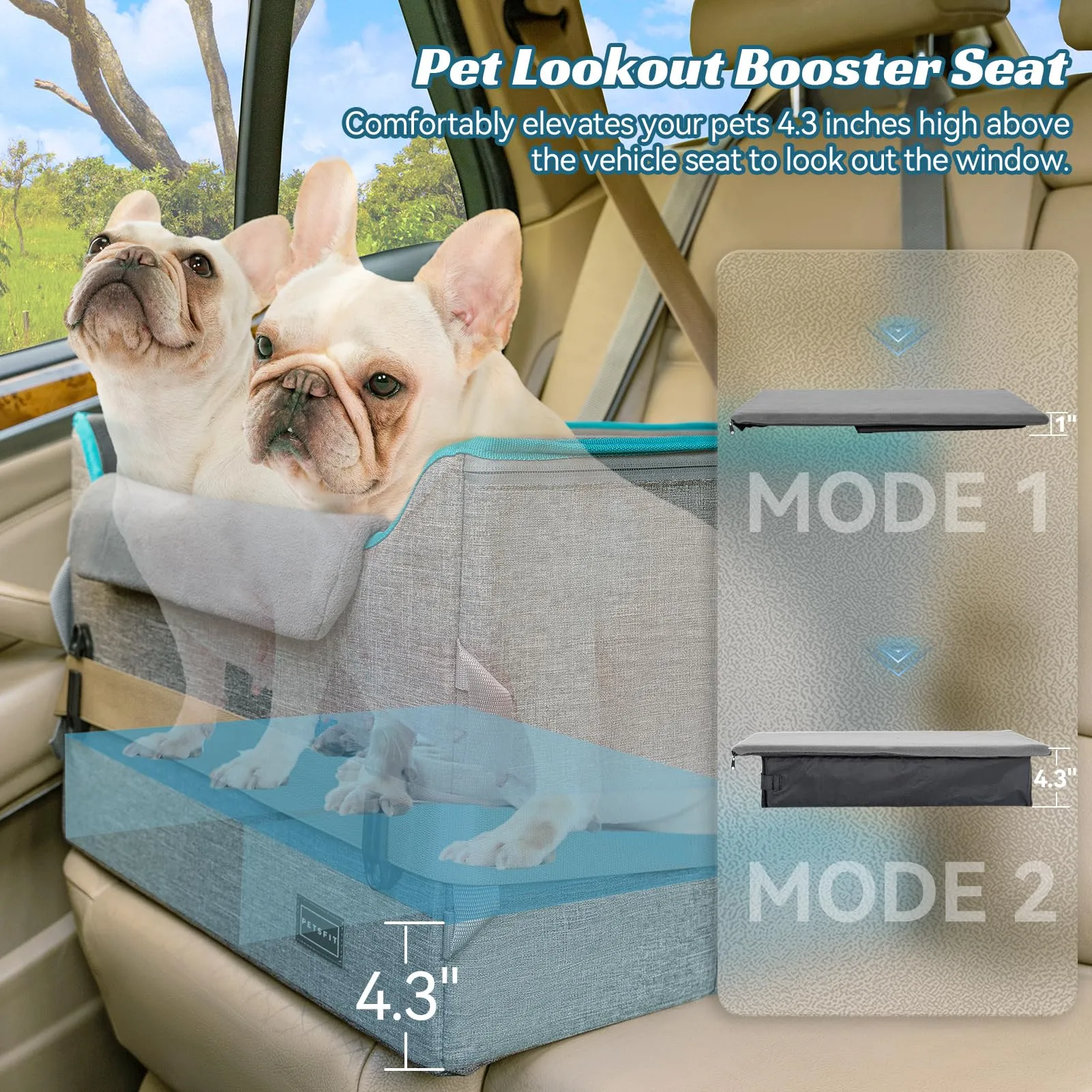 Petsfit Seggiolino Auto per cani piccoli, Trasportino cane Auto posteriore con clip di sicurezza per la cintura e cuscino in peluche - immagine 3