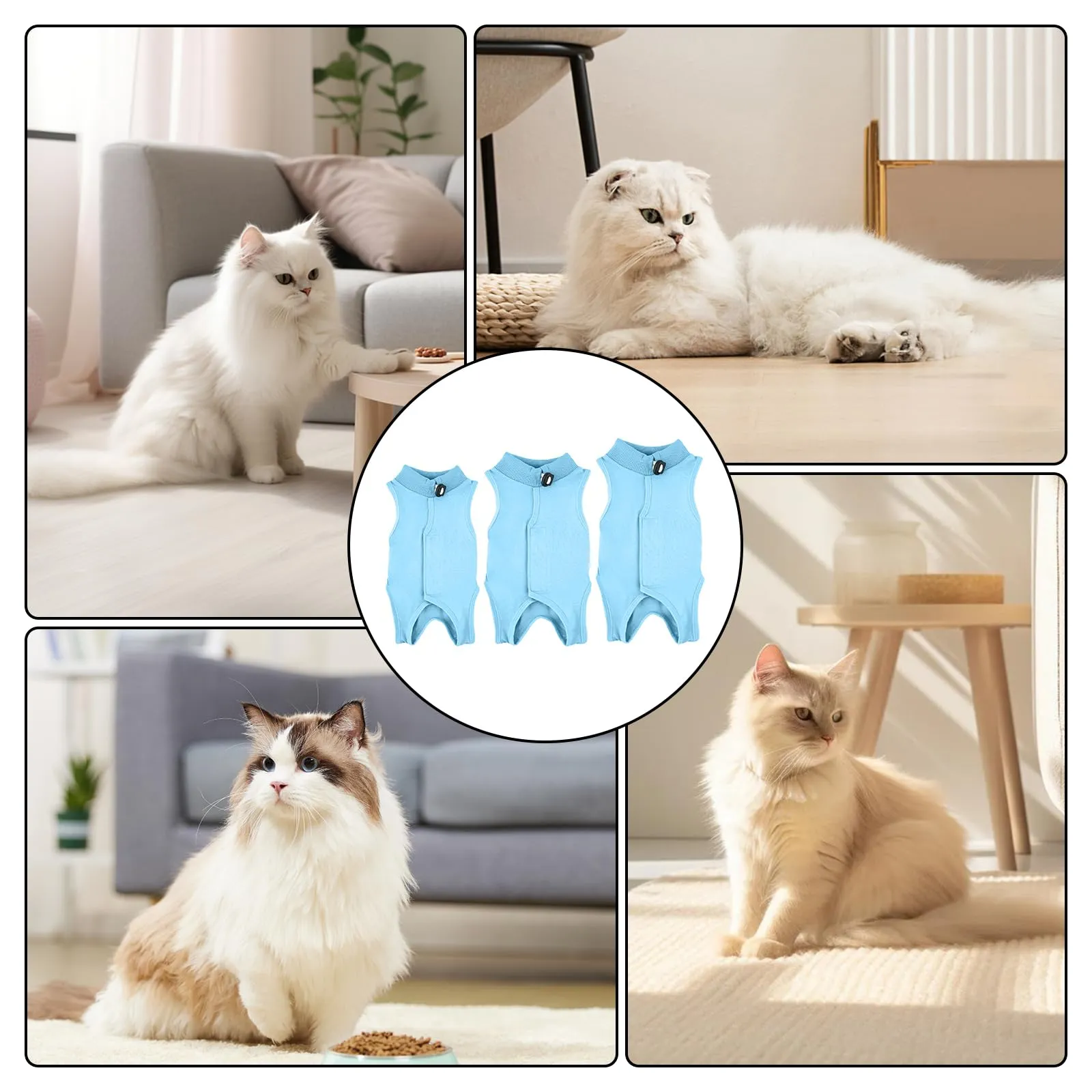 Amexo Tuta da Recupero per Gatti Tutina Post Operatoria per Cani Gatti Colletto Alternativo Anti-Leccato per Gattini Tutina Professionale per Ferite Addominali o Malattie per Animale (Blu, M) - immagine 6