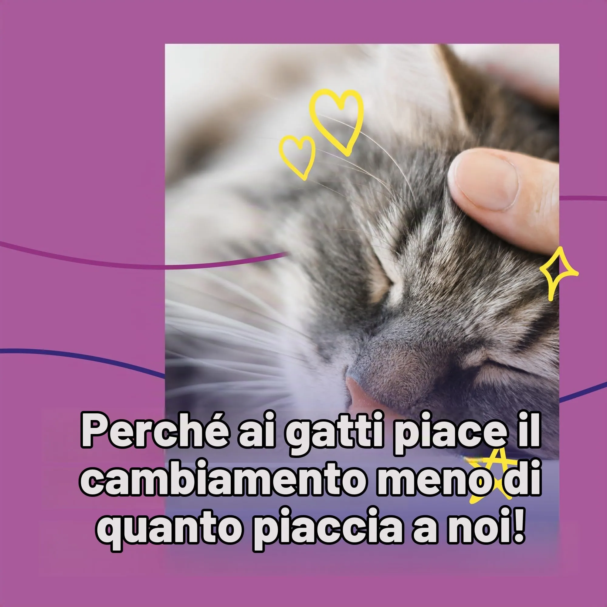 FELIWAY Help! - Diffusore + Ricarica feromoni lenitivi per Gatti (Durata 7 Giorni). Aiuta a calmare Il Tuo Gatto Durante situazioni di Stress Puntuale. Consigliato dai veterinari. - immagine 4
