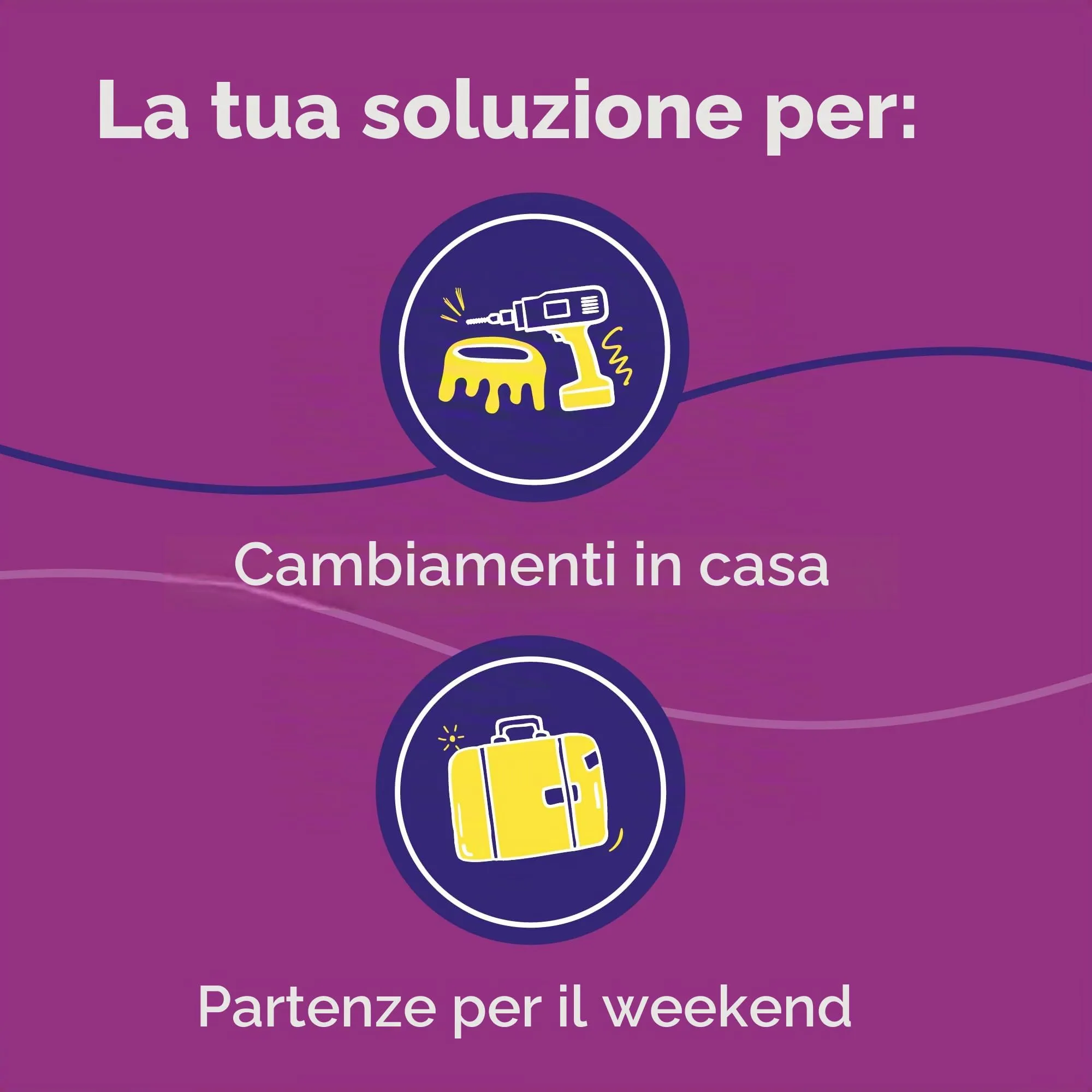FELIWAY Help! - Diffusore + Ricarica feromoni lenitivi per Gatti (Durata 7 Giorni). Aiuta a calmare Il Tuo Gatto Durante situazioni di Stress Puntuale. Consigliato dai veterinari. - immagine 5