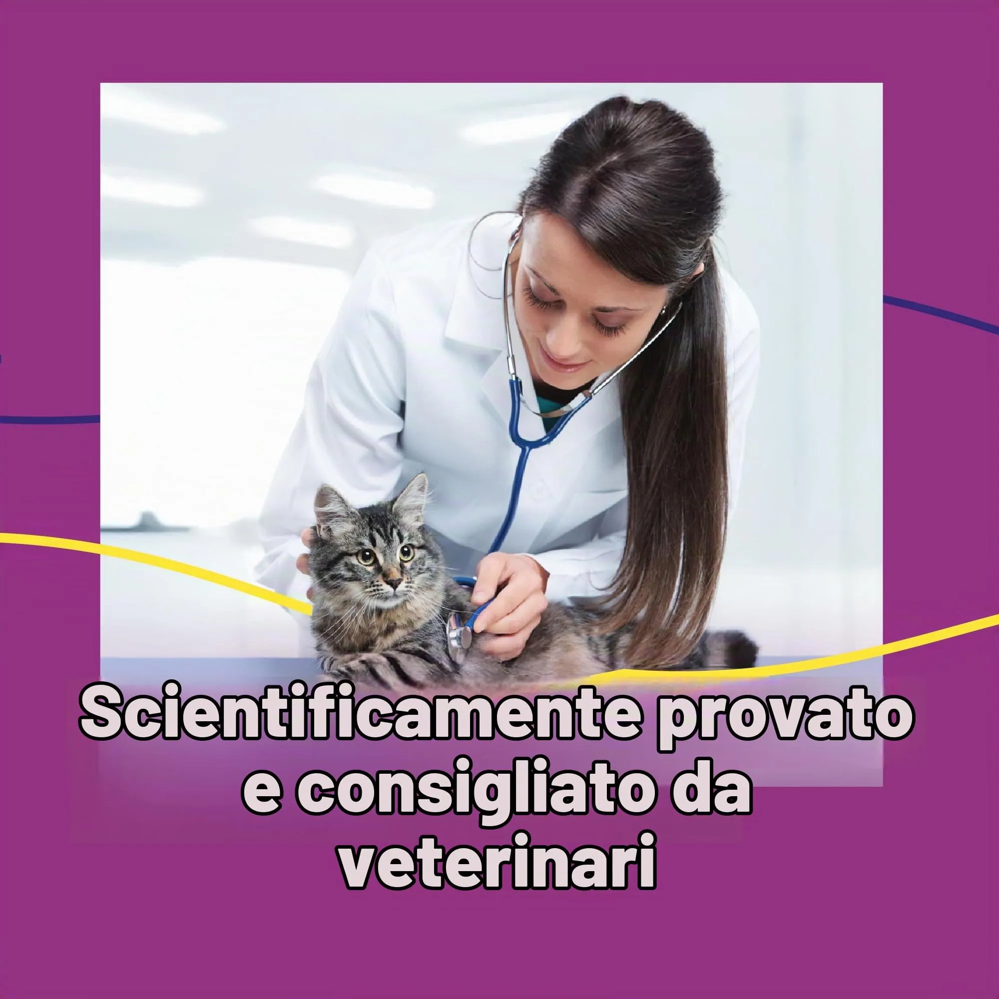FELIWAY Help! - Diffusore + Ricarica feromoni lenitivi per Gatti (Durata 7 Giorni). Aiuta a calmare Il Tuo Gatto Durante situazioni di Stress Puntuale. Consigliato dai veterinari. - immagine 8