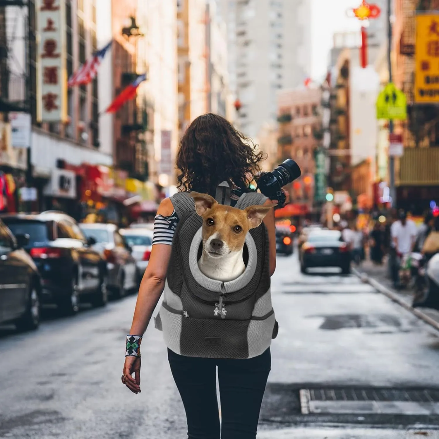 LIBRNTY Zaino per Cani Gatti,Zaino per Cane,Backpack Trasportino Pieghevole per Gatti e Cani di Piccola Taglia, Borsa Traspirante per Viaggi Passeggiate e Escursioni,fondo impermeabile (Grigio M) - immagine 5