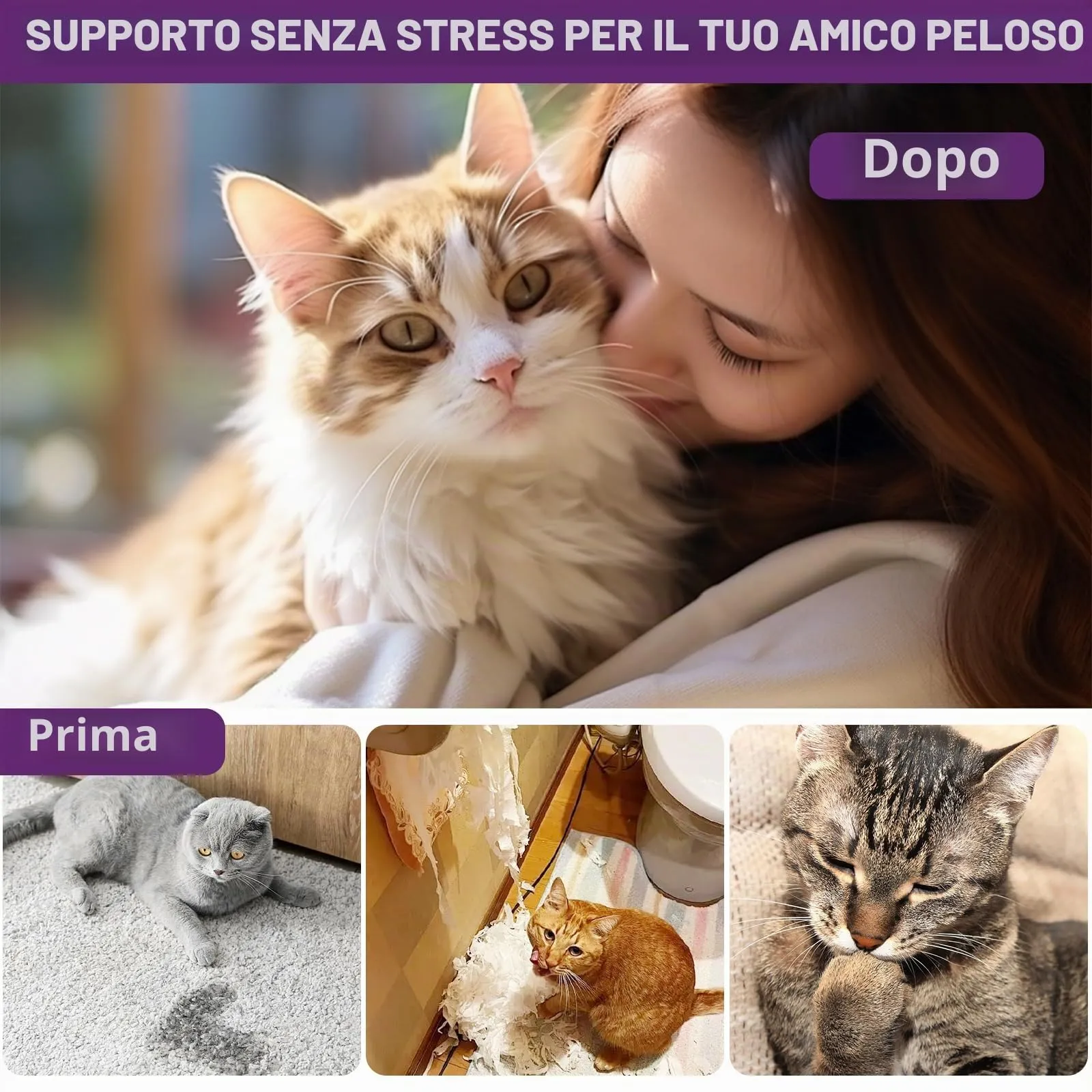 Sobirdos Kit Diffusore di Feromoni Calmanti per Gatti – 2 Diffusori + 4 Ricariche, Riduce l'Ansia e l'Urminazione Inappropriata, Ideale per Traslochi, Temporali e Nuovi Ambienti, Viola - immagine 4