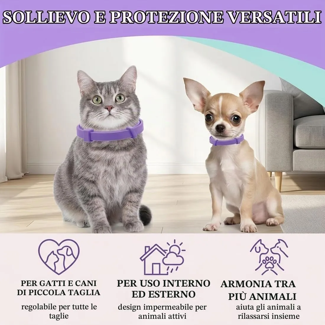 AEKZOX Confezione da 2 Collari Calmanti ai Feromoni per Gatti, Regolabile e Impermeabile, Allevia l'Ansia e Anti-Stress, Non Tossici e Sicuri per Tutte le Taglie, Gatto e (Viola) - immagine 6