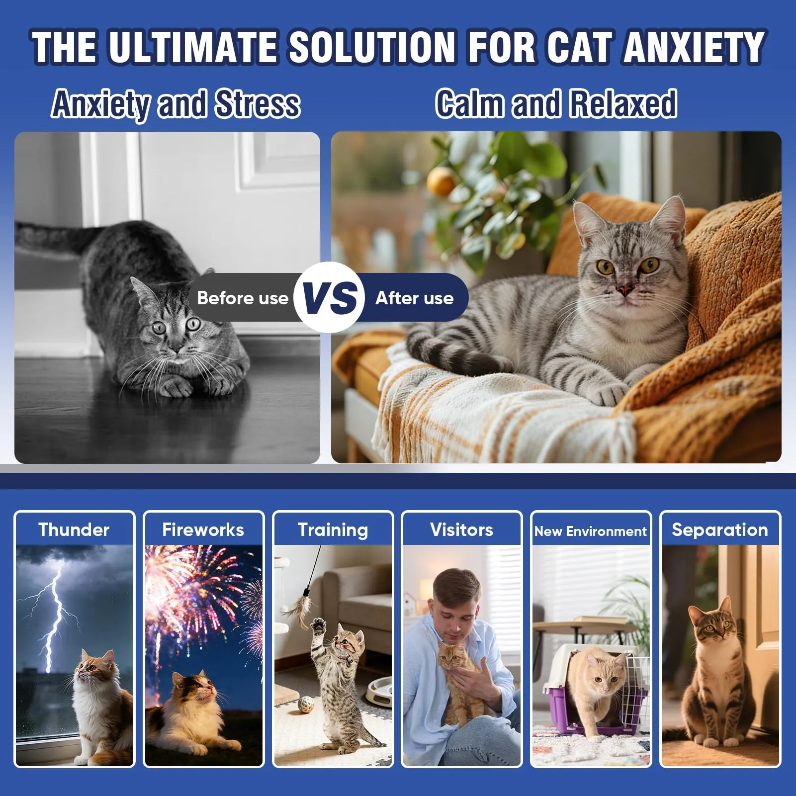 Feromoni Gatto Per Gatti Diffusore Tranquillante Di Calmante Antistress Repellente Per Gatti Irrequieti Feromoni Felini Feromoni Rilassanti E Tranquillanti Rilassanti 6x Ricariche Da 48 Ml Insapore - immagine 6