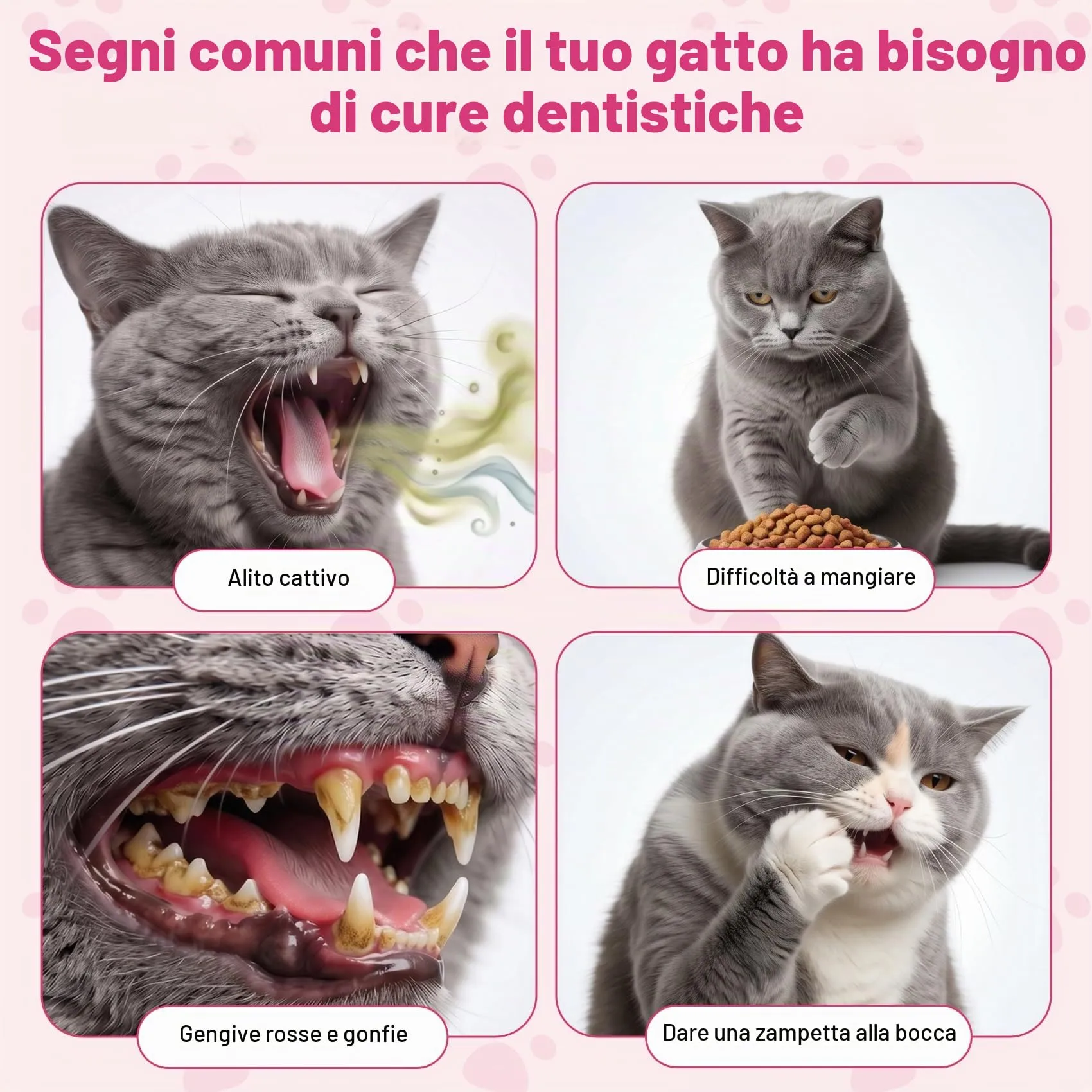 ulroyda Dentifricio Enzimatico per Gatti, Kit per l'Igiene Orale, 30 g - immagine 2