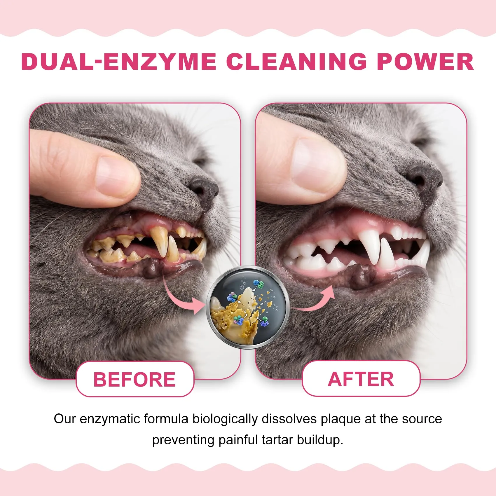 ulroyda Dentifricio Enzimatico per Gatti, Kit per l'Igiene Orale, 30 g - immagine 3