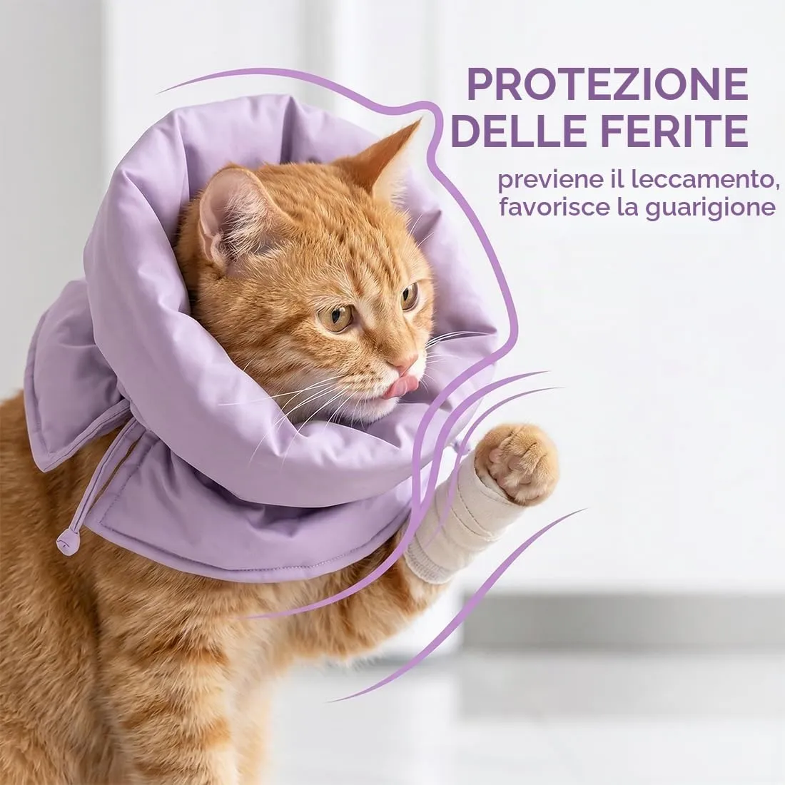 BCZR Collare per Recupero Gatto, Morbido Collare di Recupero Regolabile, Anti-morso, Elisabettiano Protettivo per Gattino, Impedisce di Leccare le Ferite, Comodo per Gatto e Cuccioli, S (Viola) - immagine 7