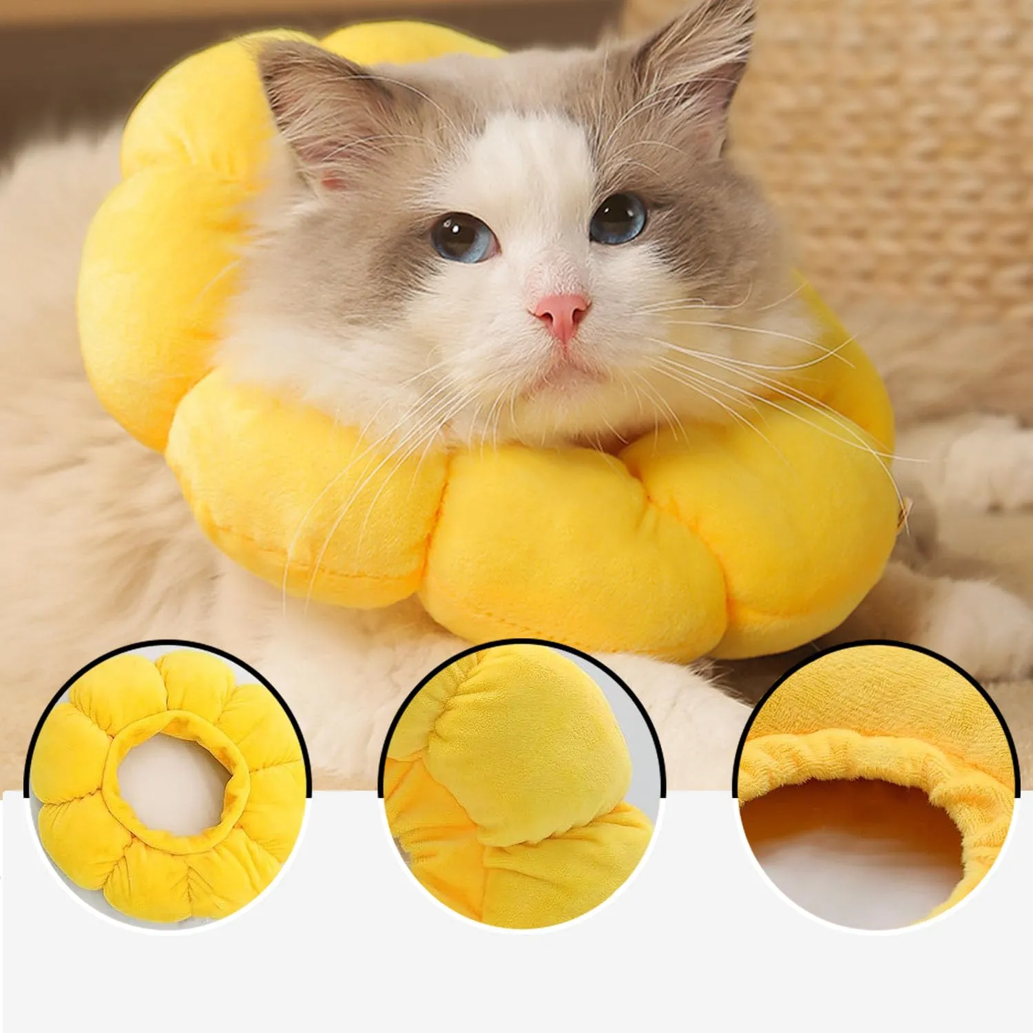 LATRAT Collare di Protezione Regolabile per Gatto e Piccolo Cane - Collaretto Girasole per Recupero e Guarigione delle Ferite Dopo Chirurgia, Taglia S - immagine 3